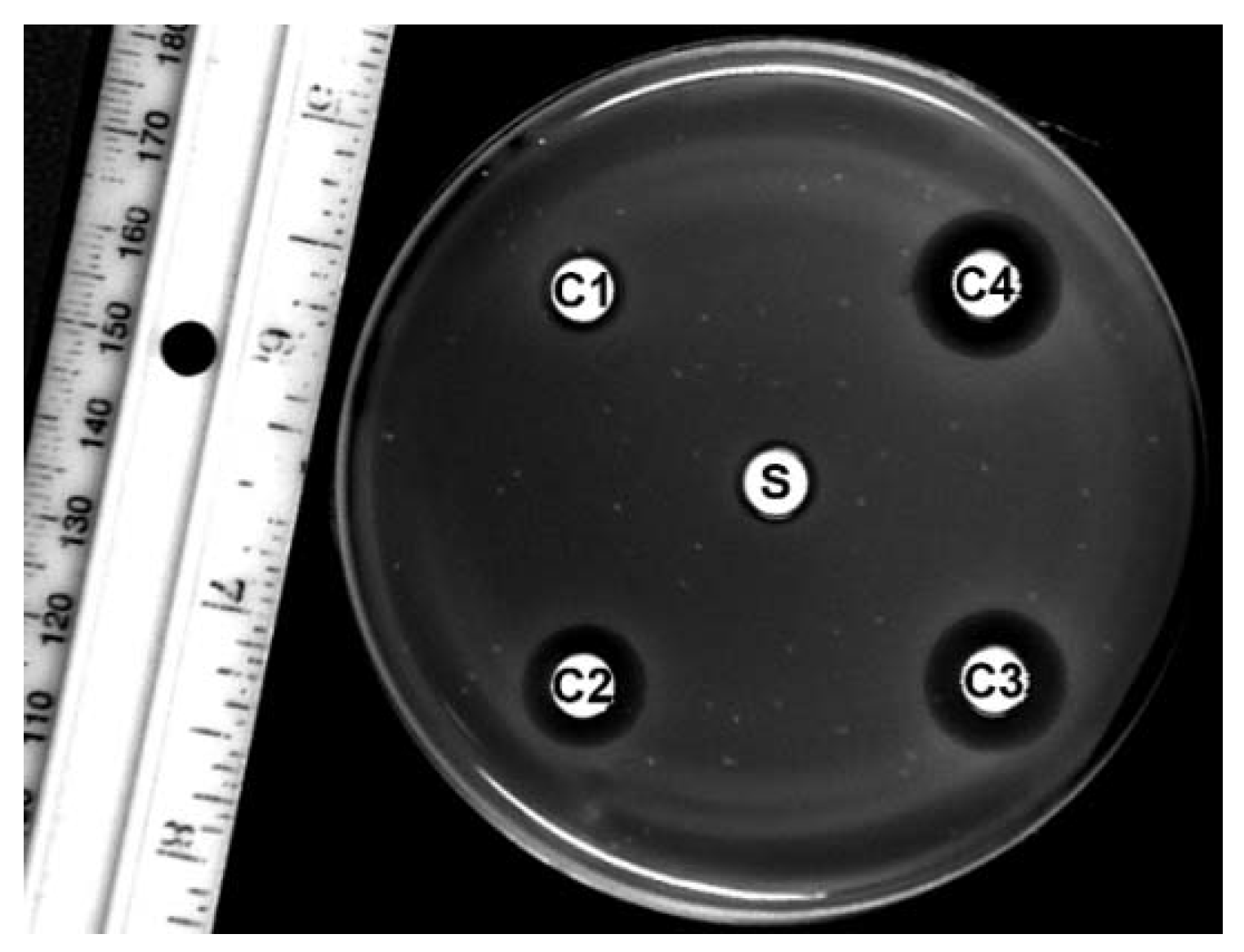 Biomolecules 12 00571 g0a1