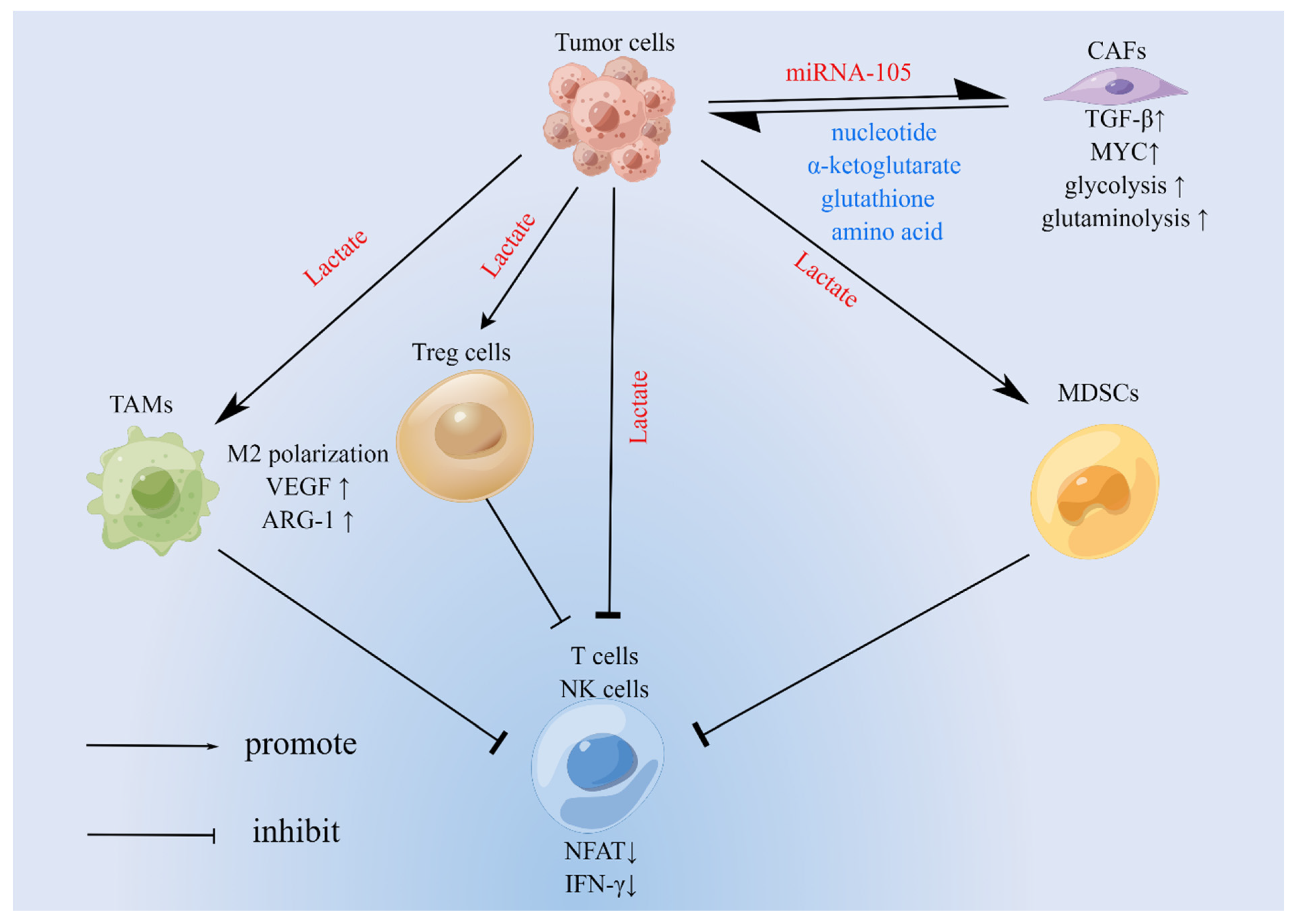 Biomolecules 12 00580 g002