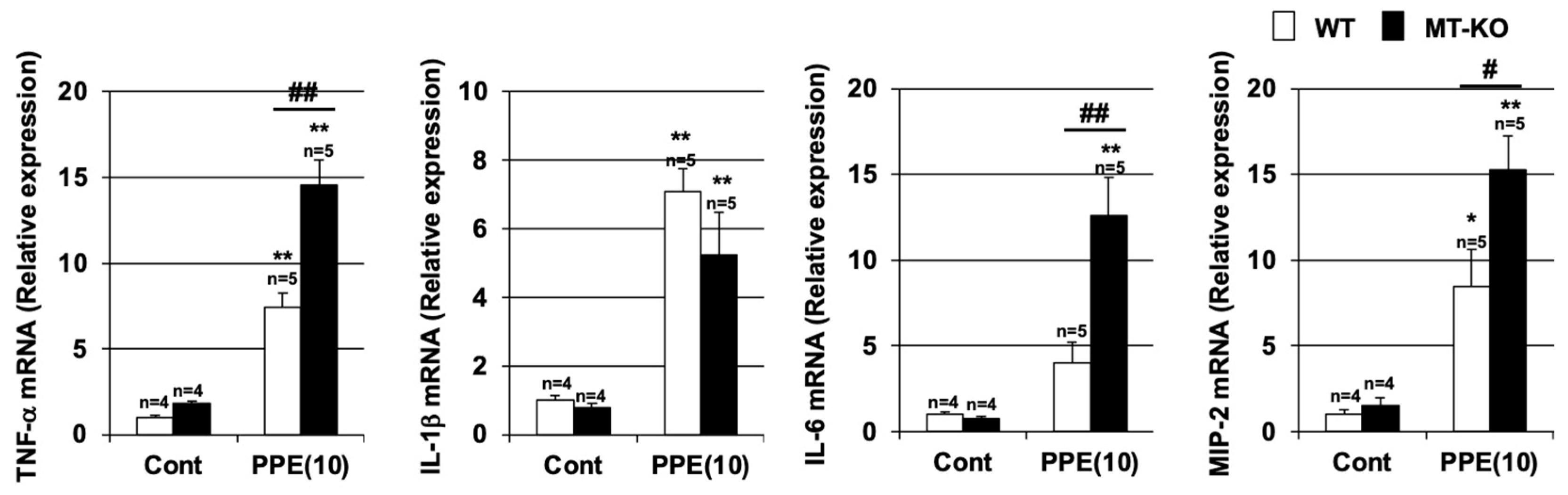 Biomolecules 12 00583 g004 Biomolecules 12 00583 g004
