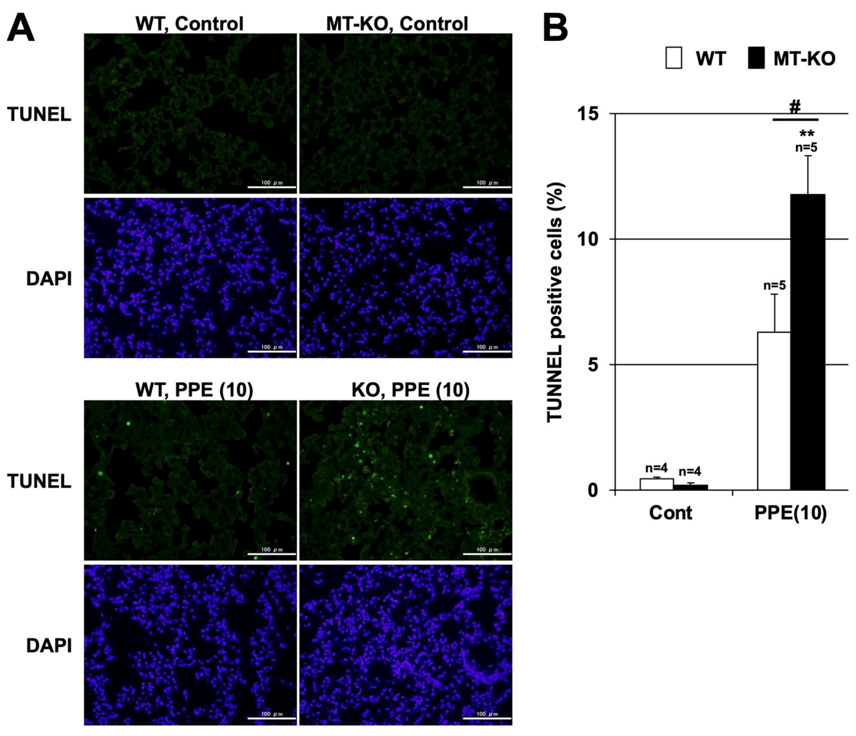 Biomolecules 12 00583 g005 Biomolecules 12 00583 g005