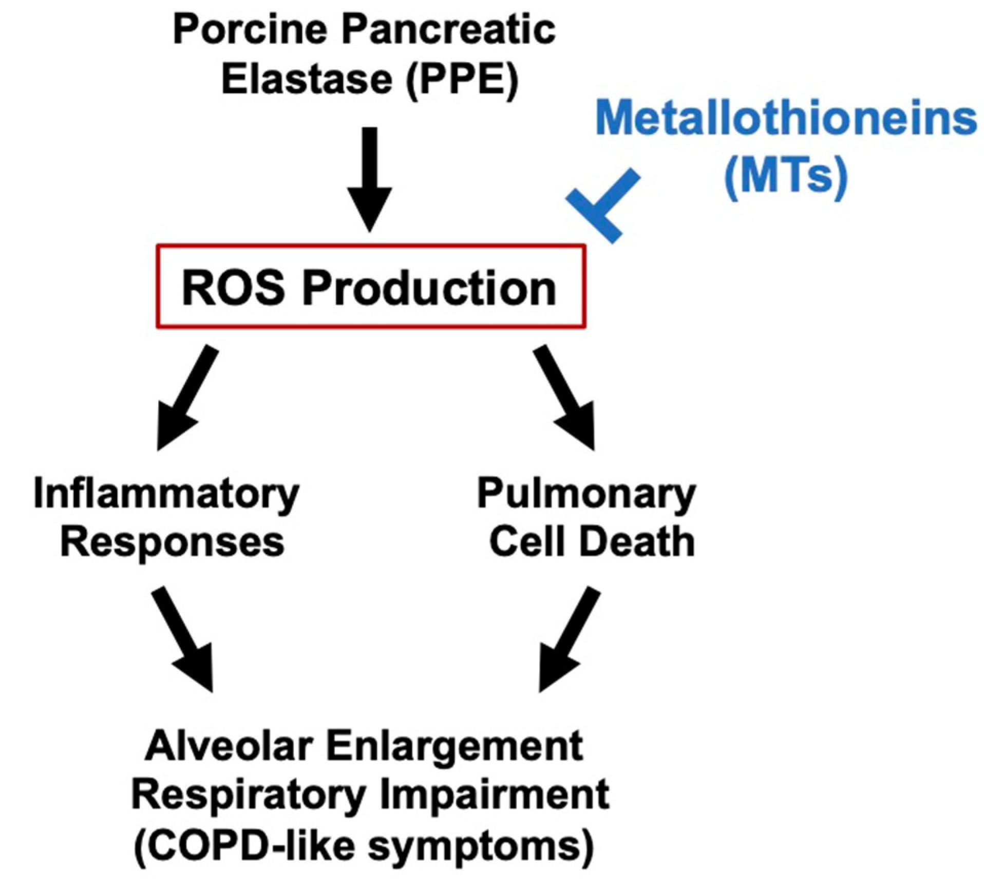 Biomolecules 12 00583 g008 Biomolecules 12 00583 g008