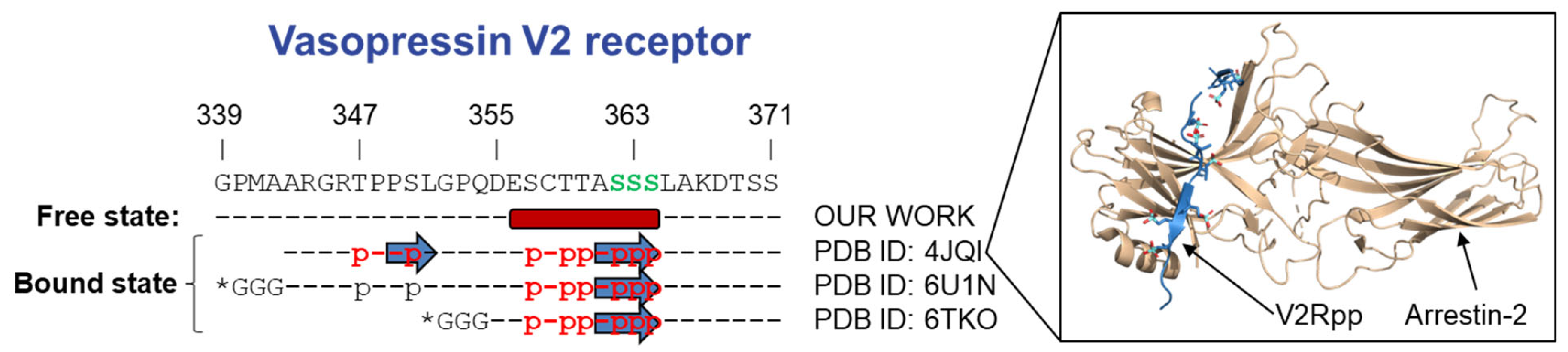 Biomolecules 12 00617 g005