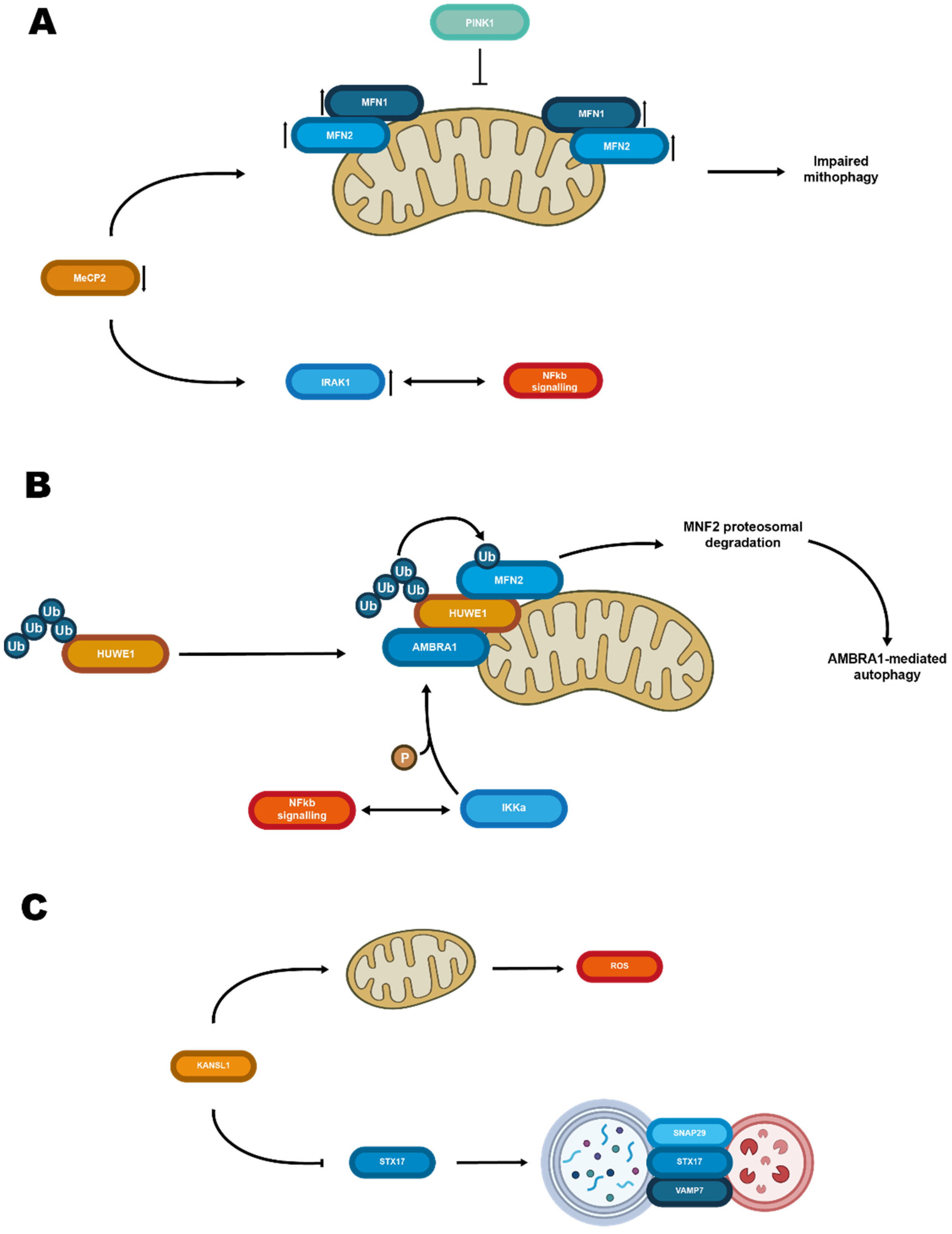 Biomolecules 12 00625 g001 Biomolecules 12 00625 g001