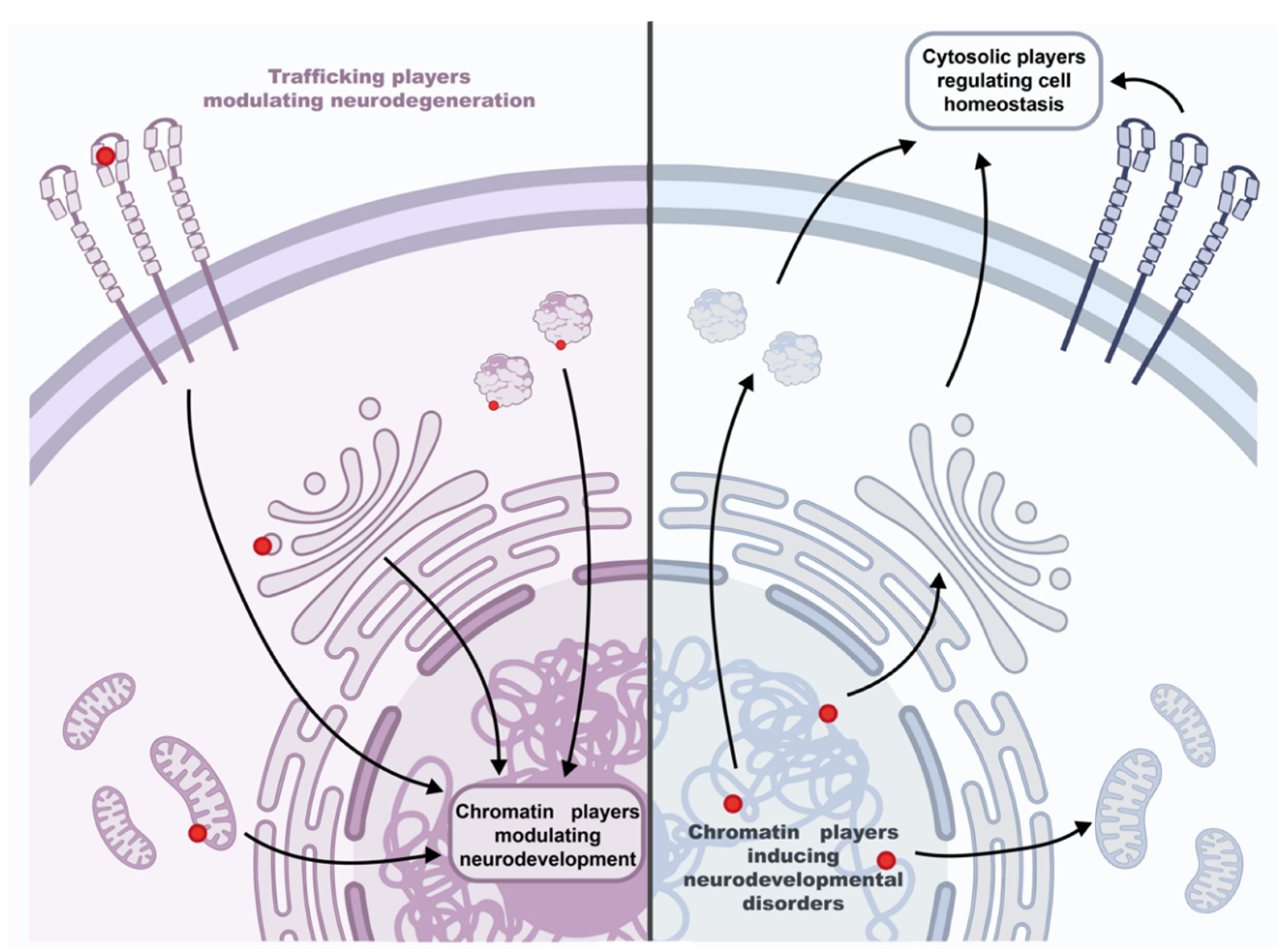 Biomolecules 12 00625 g005 Biomolecules 12 00625 g005