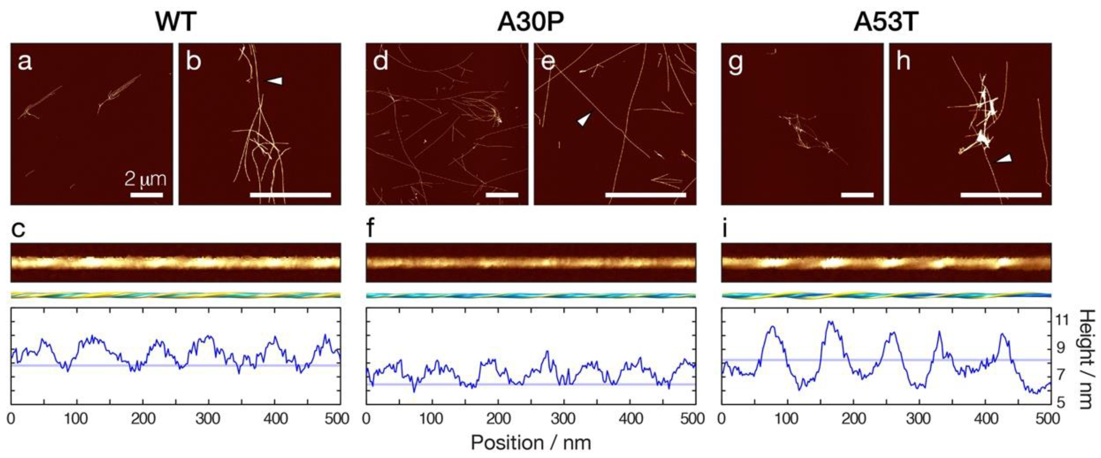 Biomolecules 12 00630 g001