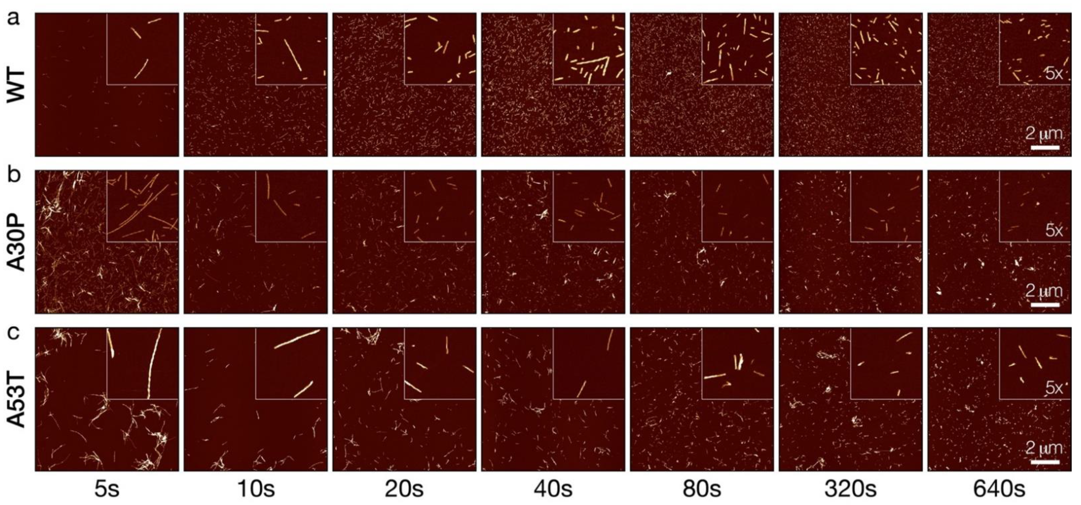 Biomolecules 12 00630 g002