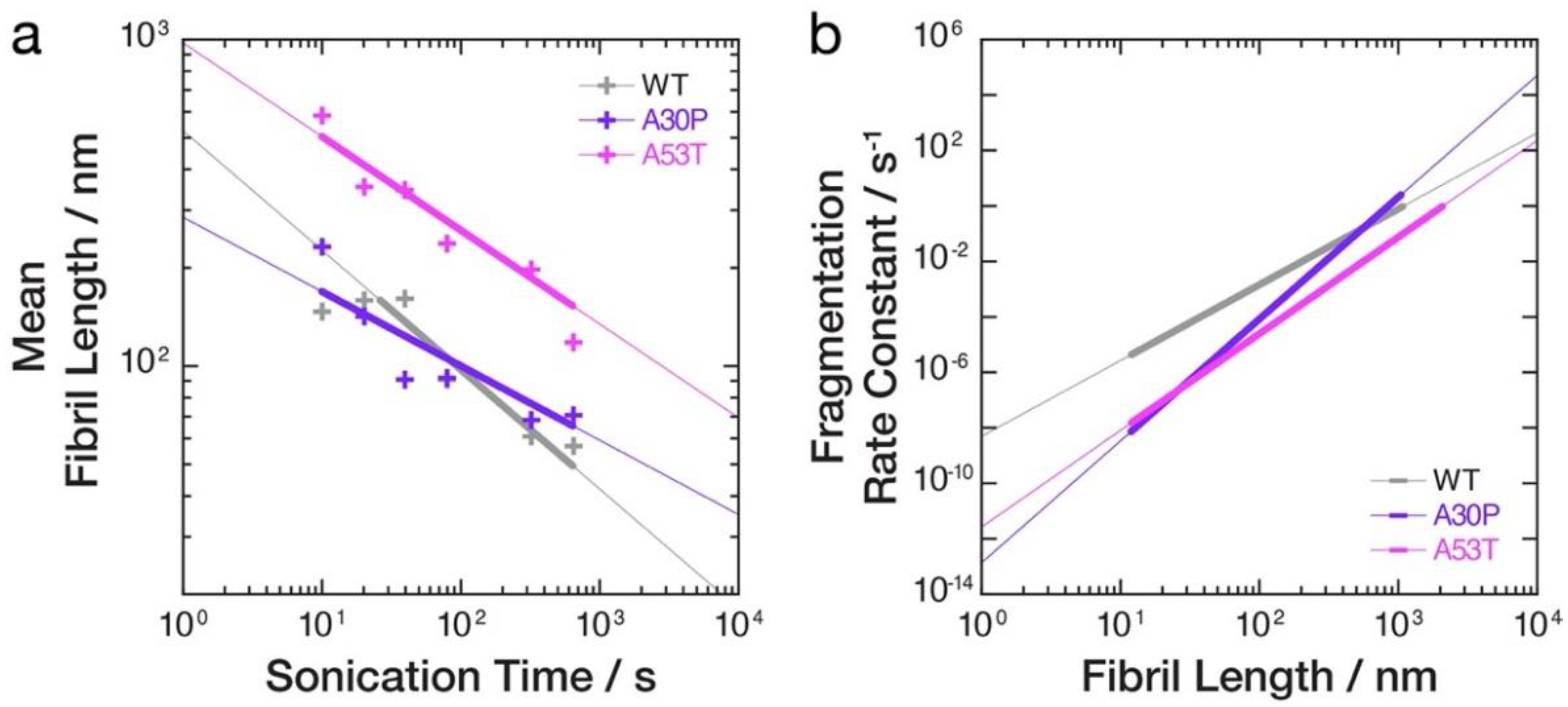 Biomolecules 12 00630 g004