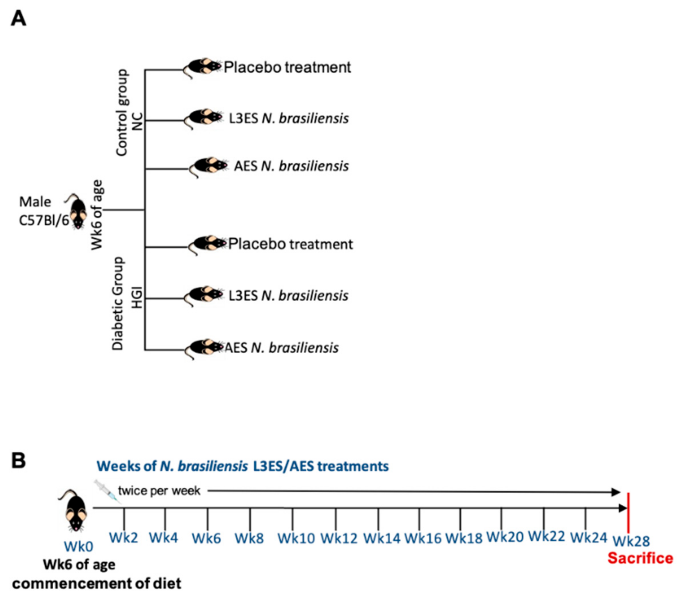 Biomolecules 12 00637 g001