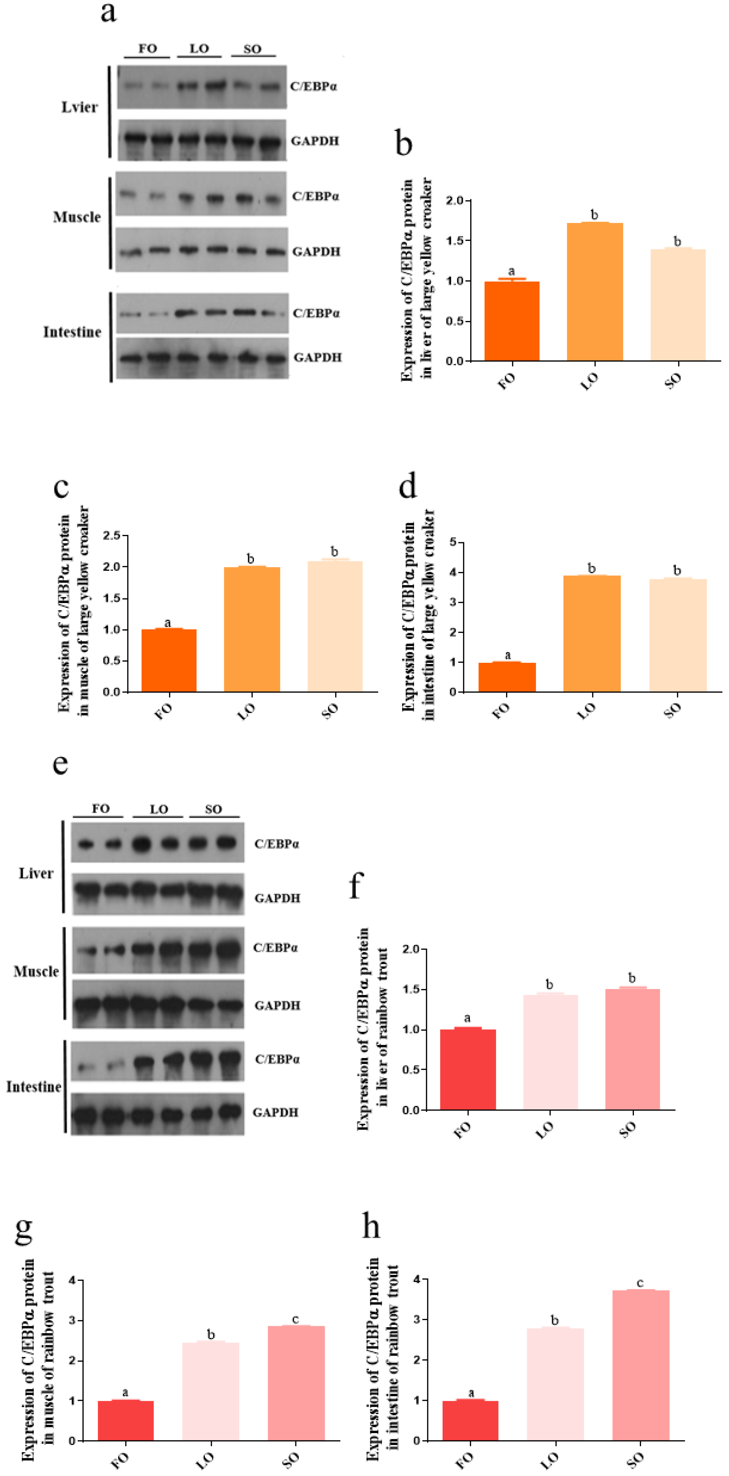 Biomolecules 12 00659 g006
