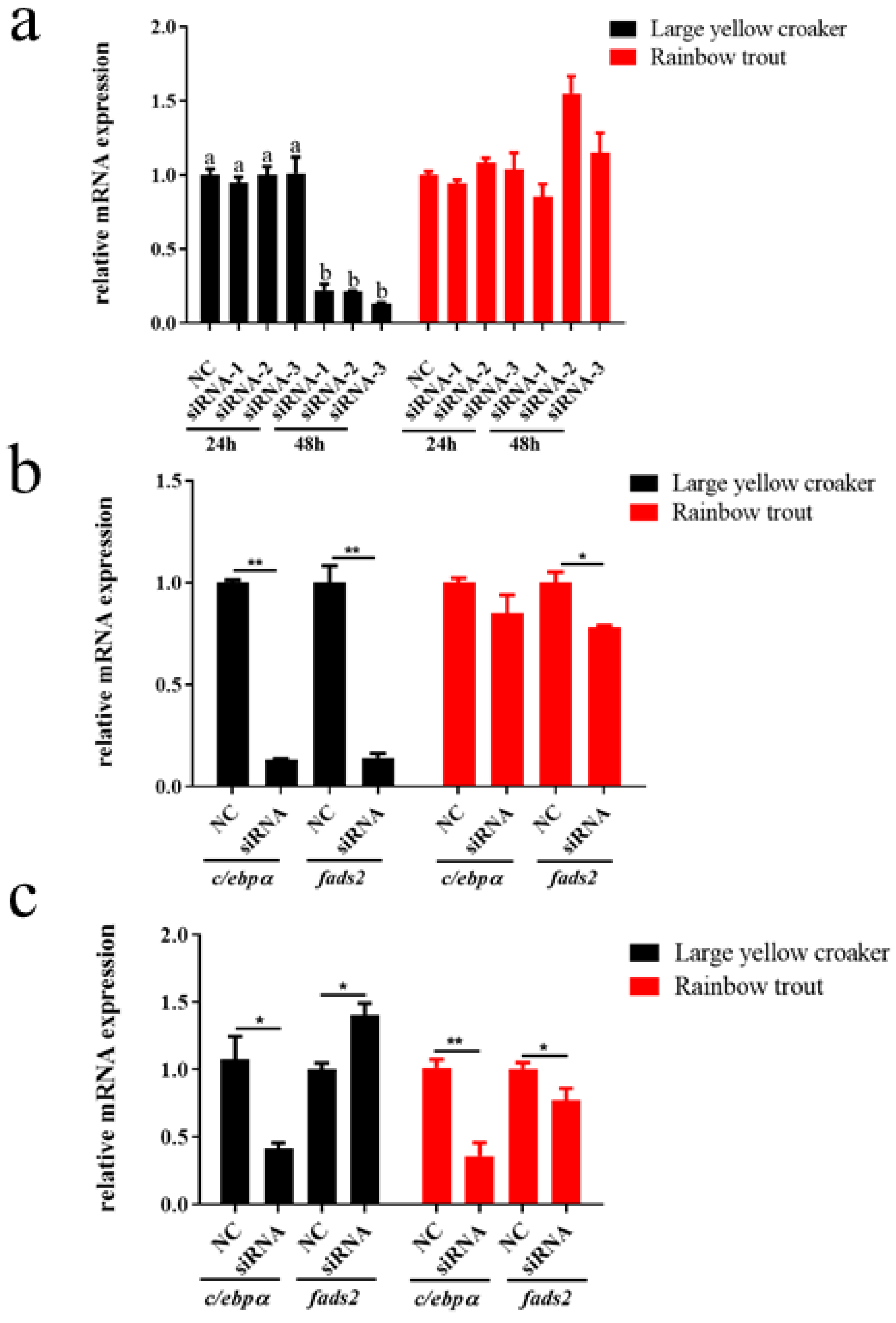 Biomolecules 12 00659 g007