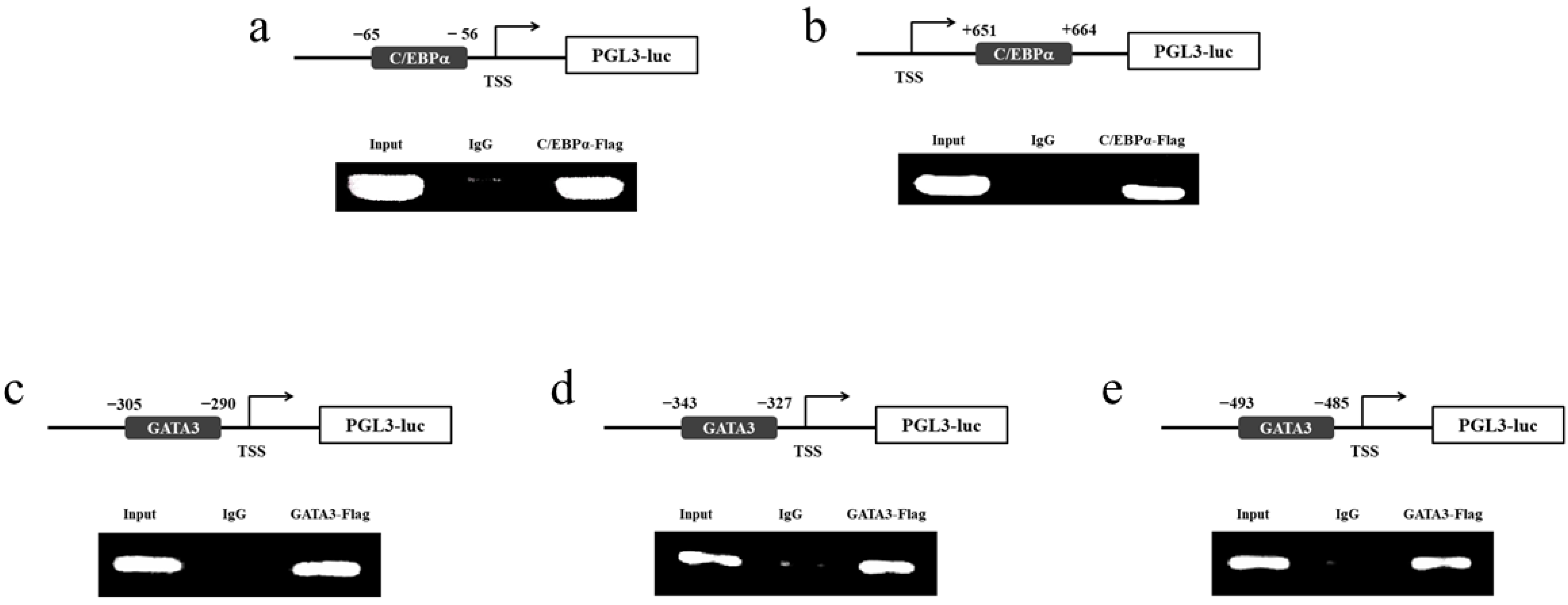 Biomolecules 12 00659 g009
