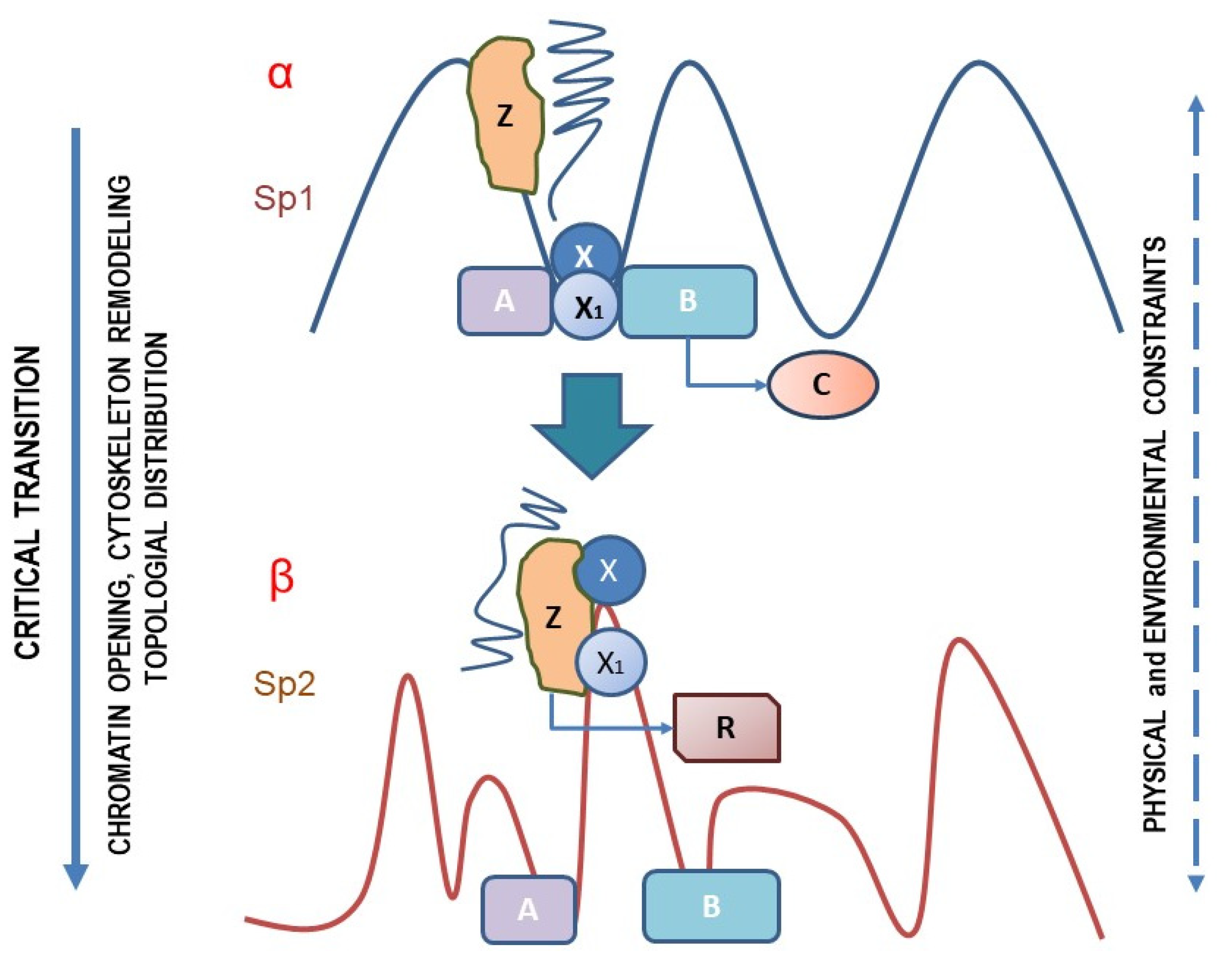 Biomolecules | Free Full-Text | Paradoxical Behavior of Oncogenes