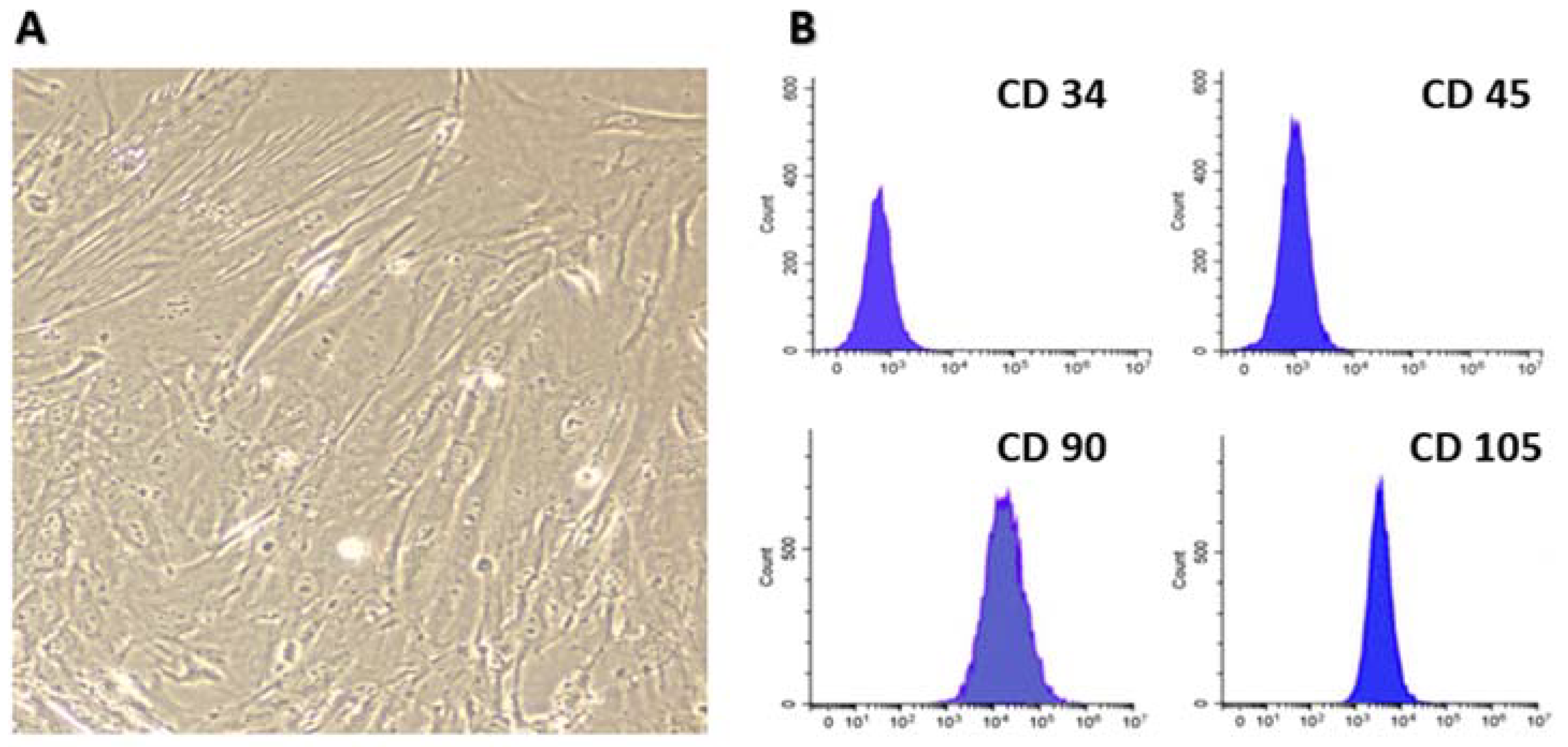 Biomolecules 12 00663 g001