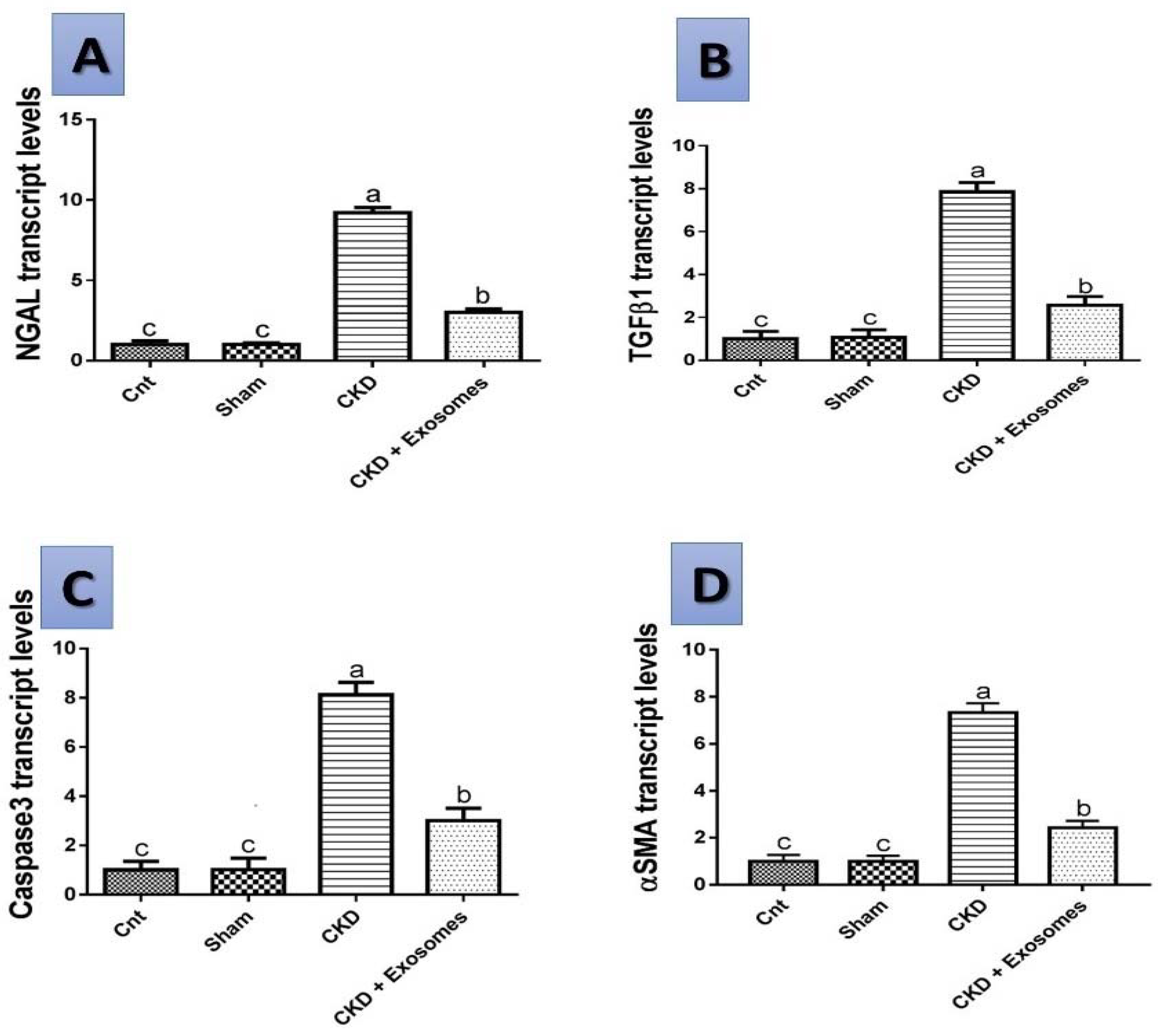Biomolecules 12 00663 g009