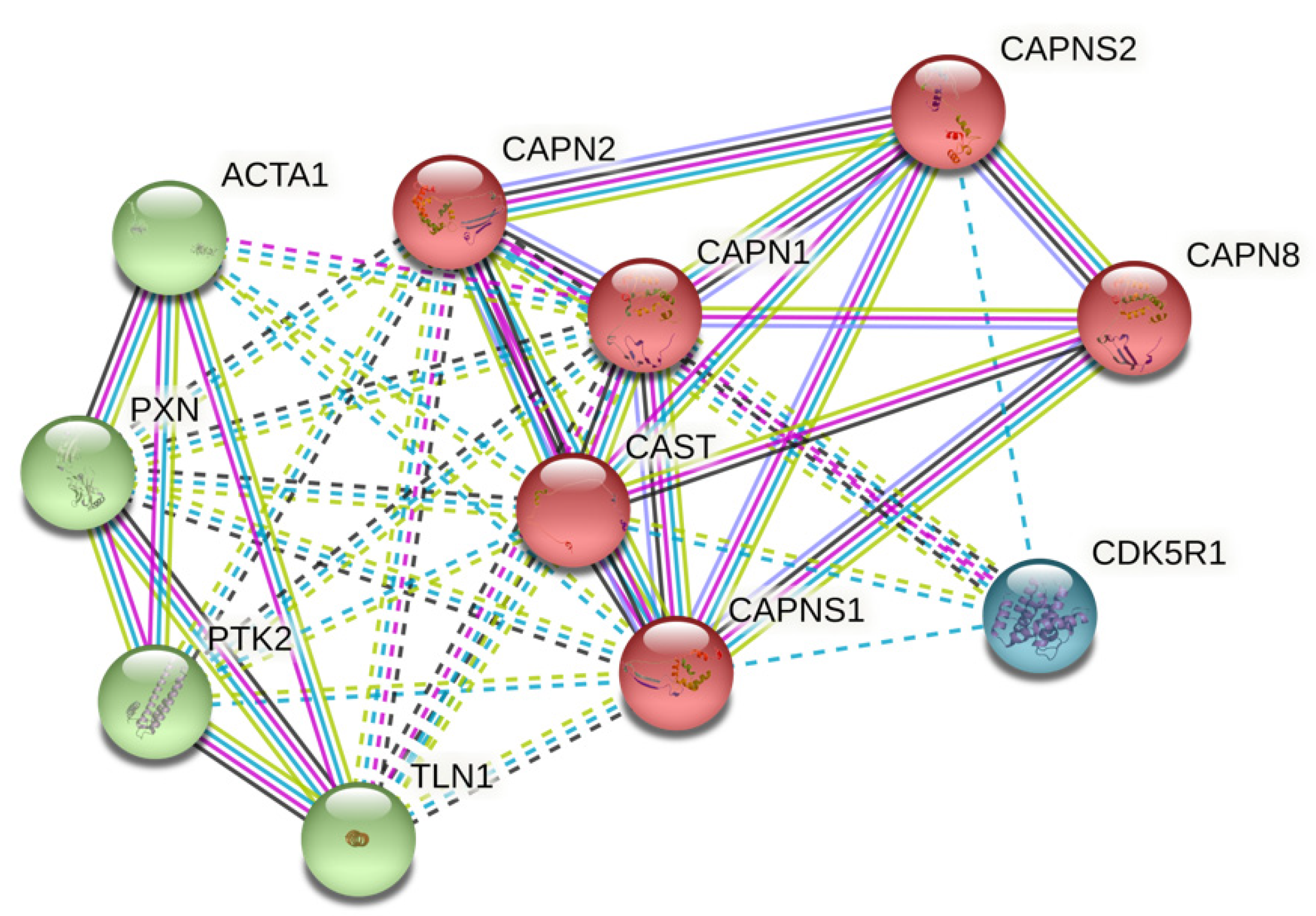 Biomolecules 12 00670 g001