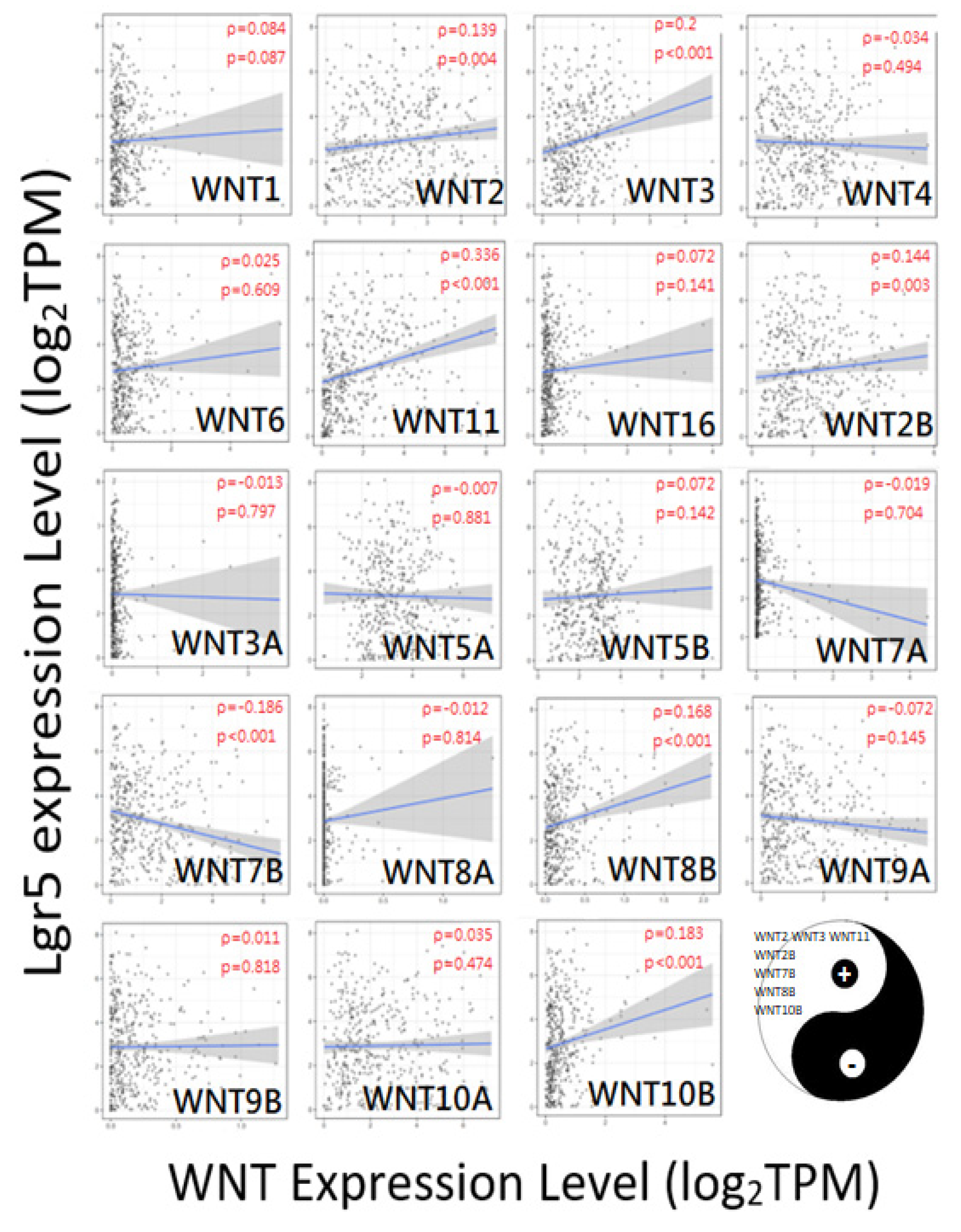Biomolecules 12 00670 g007
