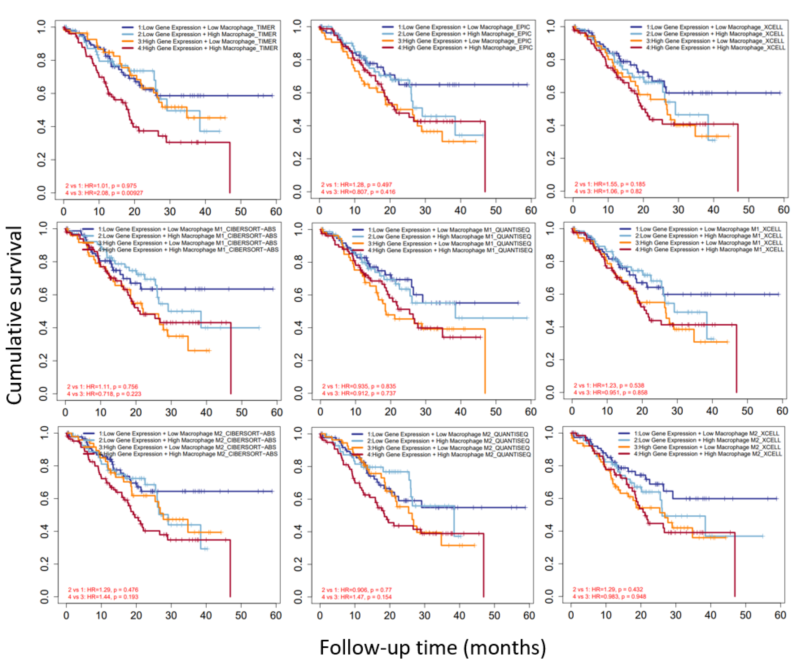 Biomolecules 12 00670 g008