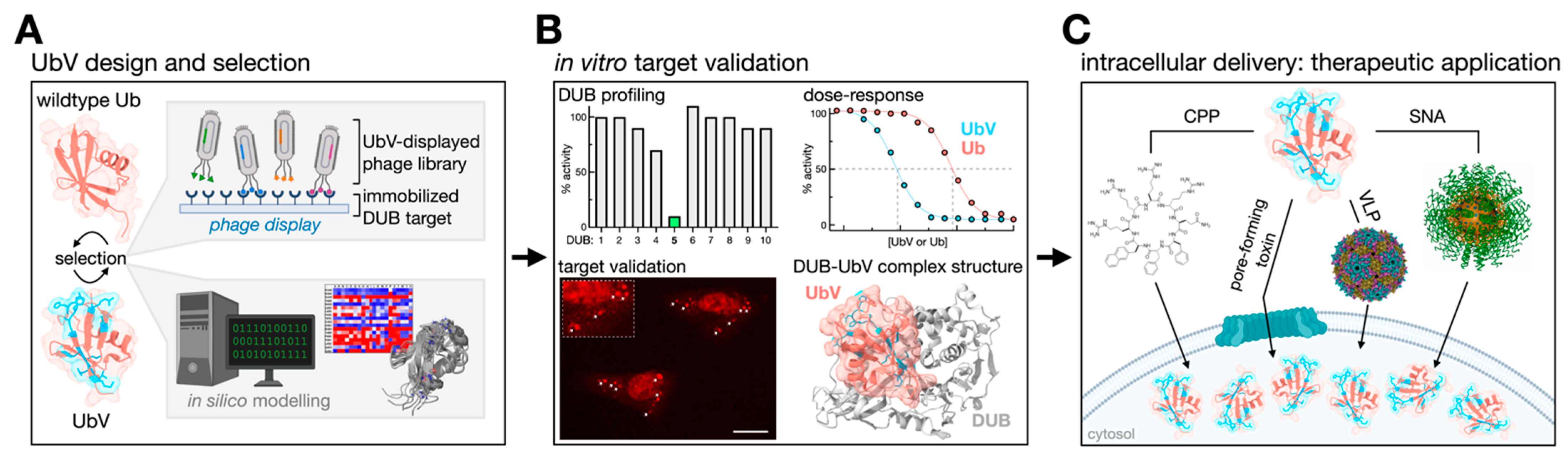 Biomolecules 12 00703 g002