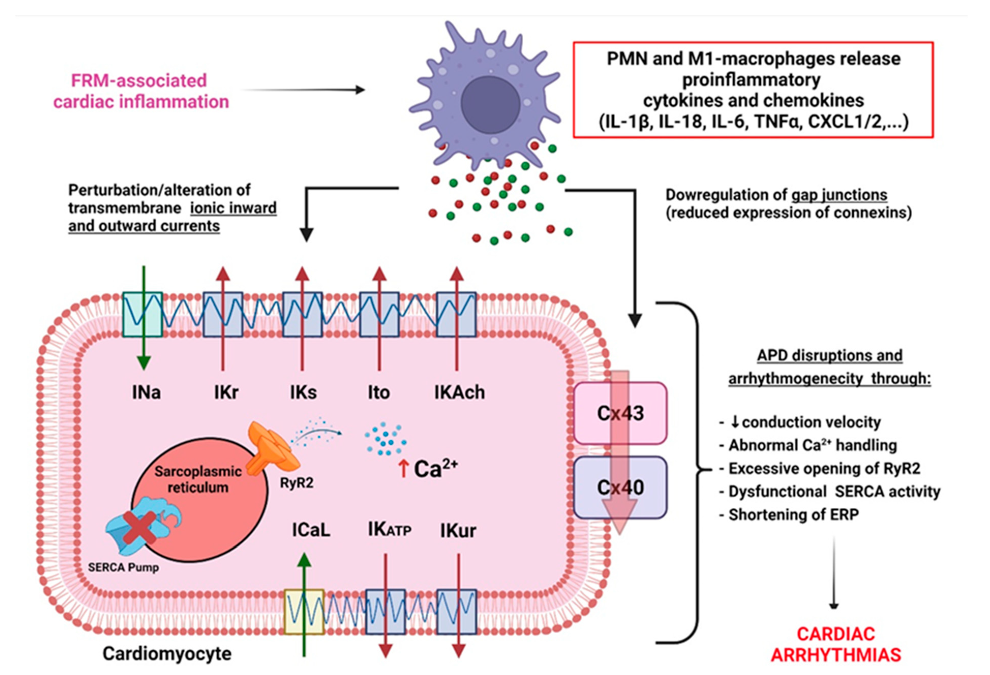 Biomolecules 12 00720 g005