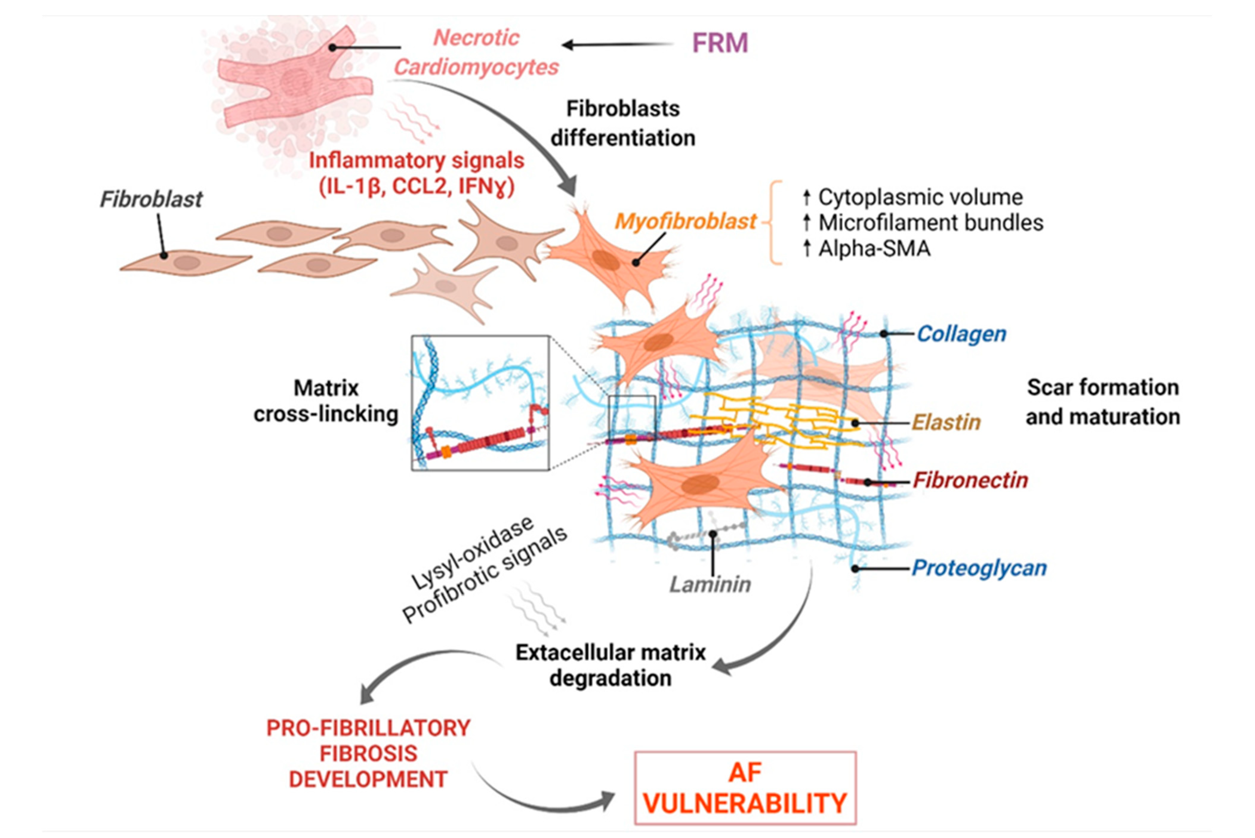 Biomolecules 12 00720 g006