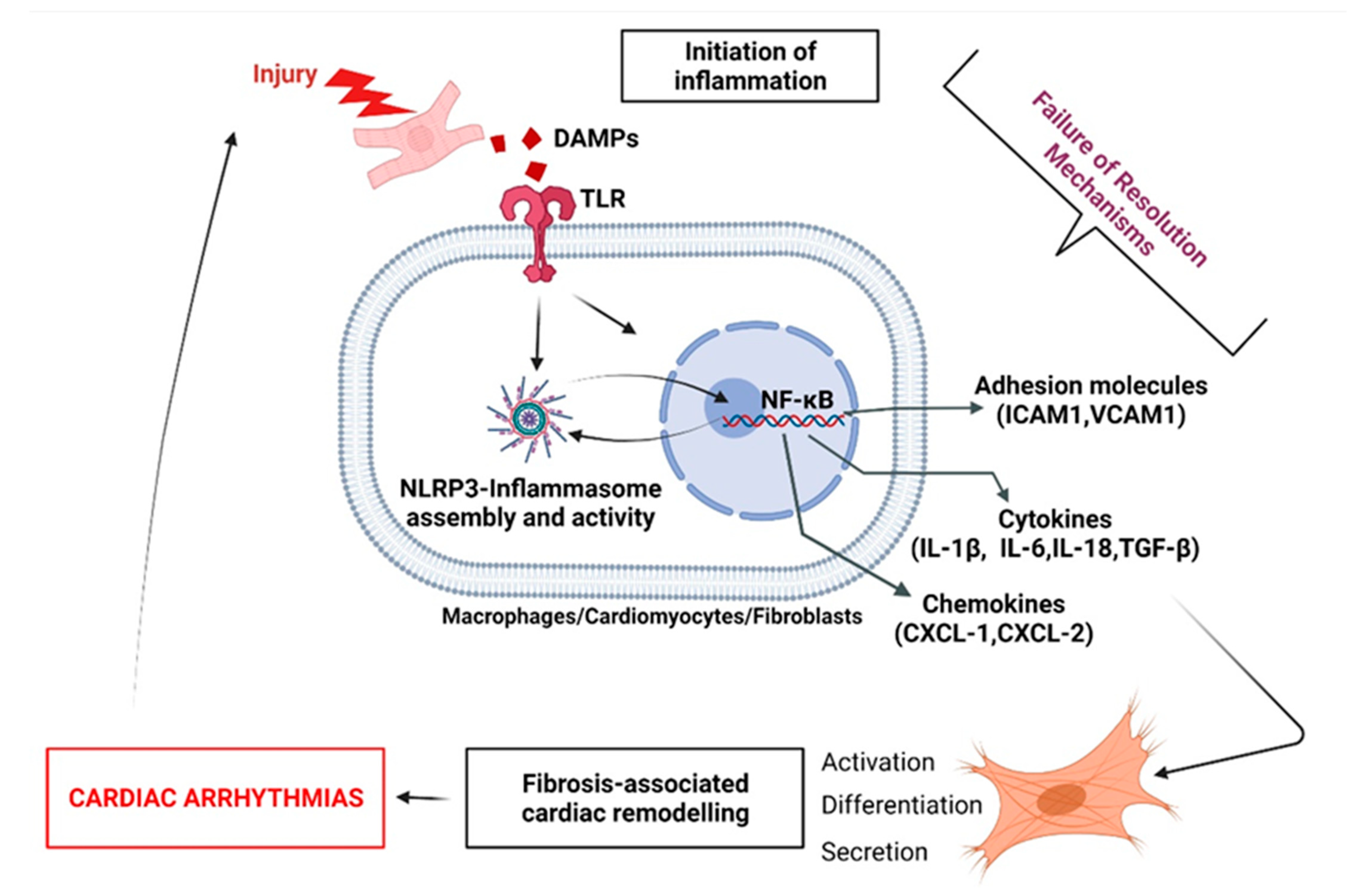 Biomolecules 12 00720 g007