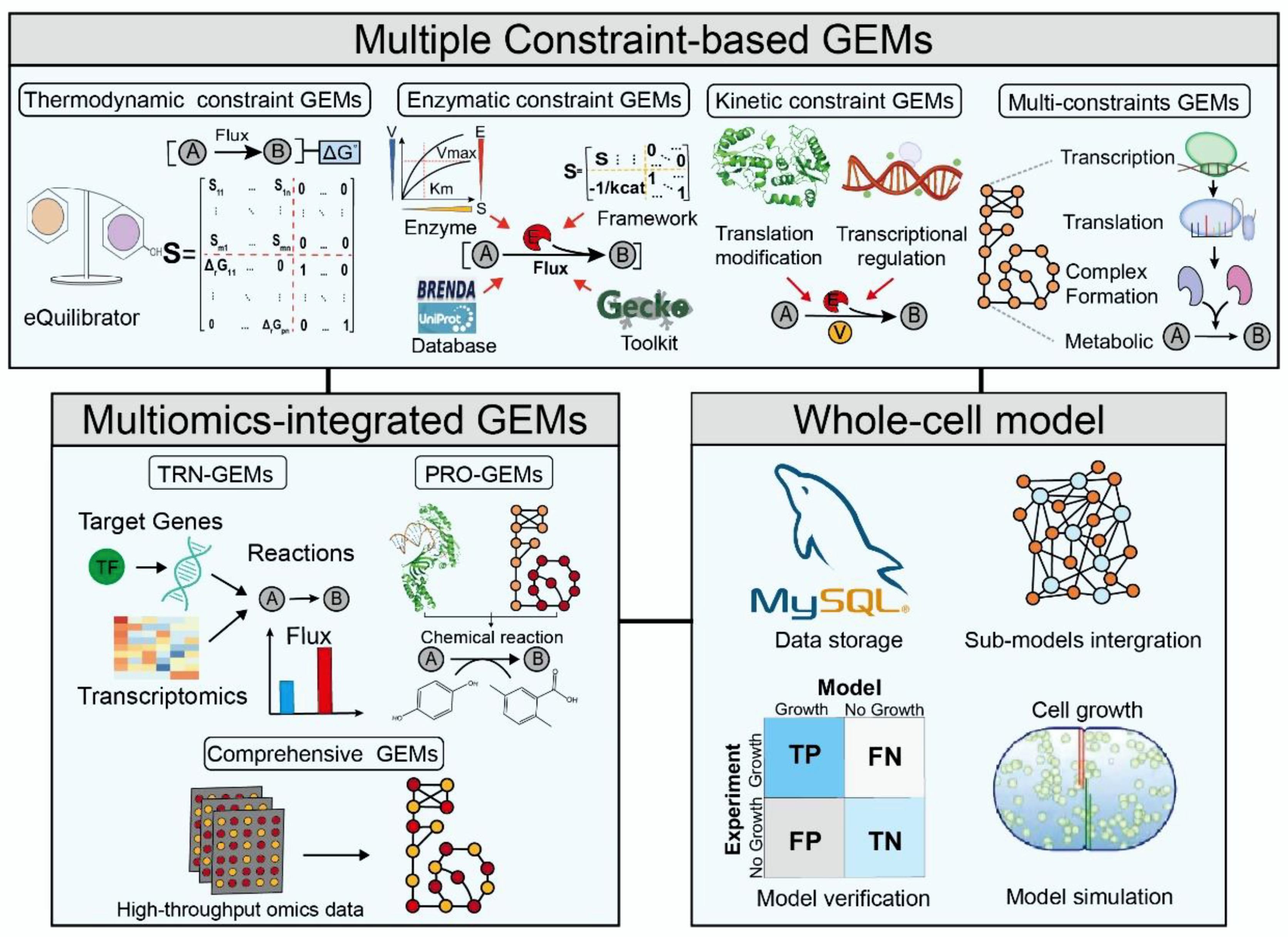 Biomolecules 12 00721 g002 Biomolecules 12 00721 g002