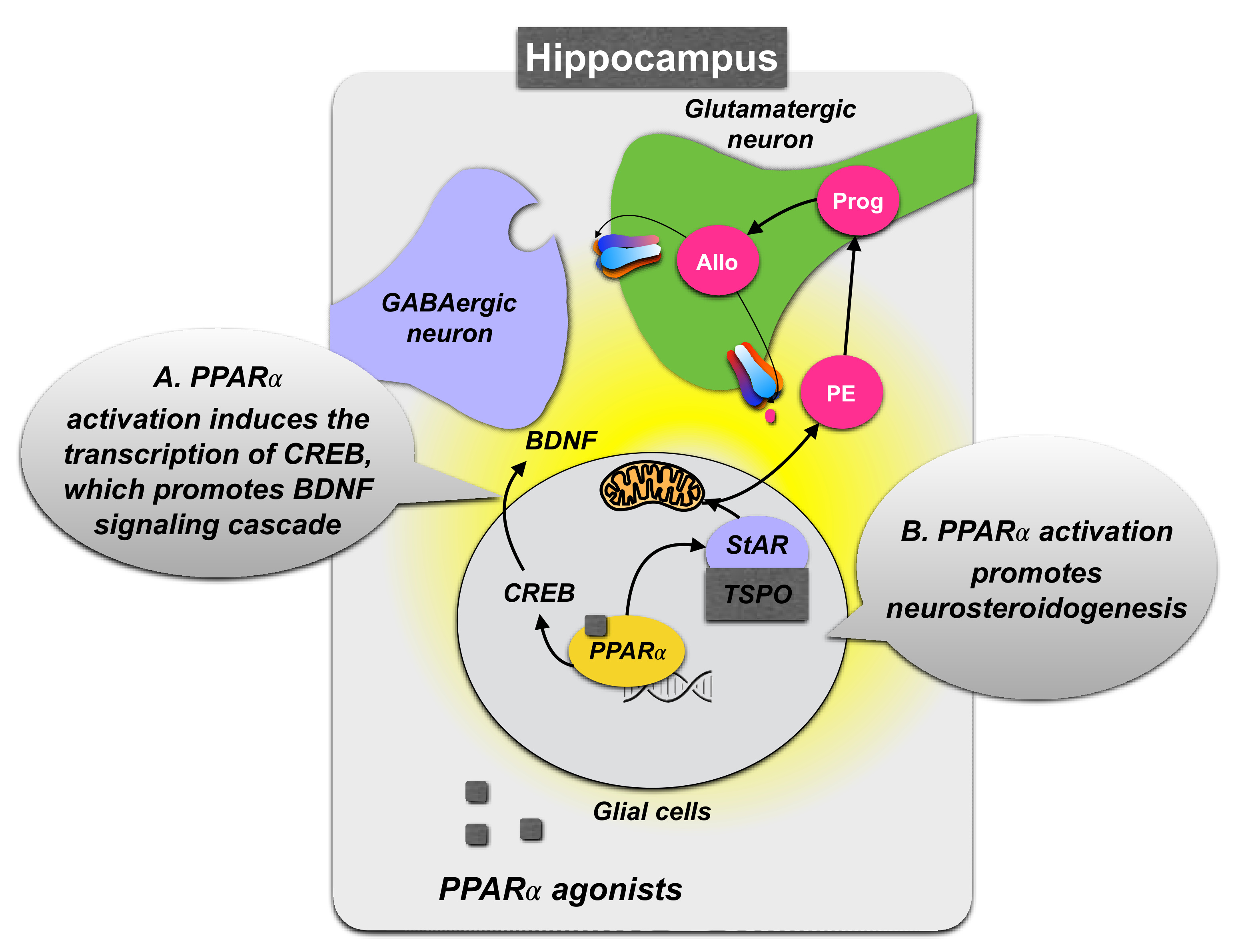 Biomolecules 12 00723 g003