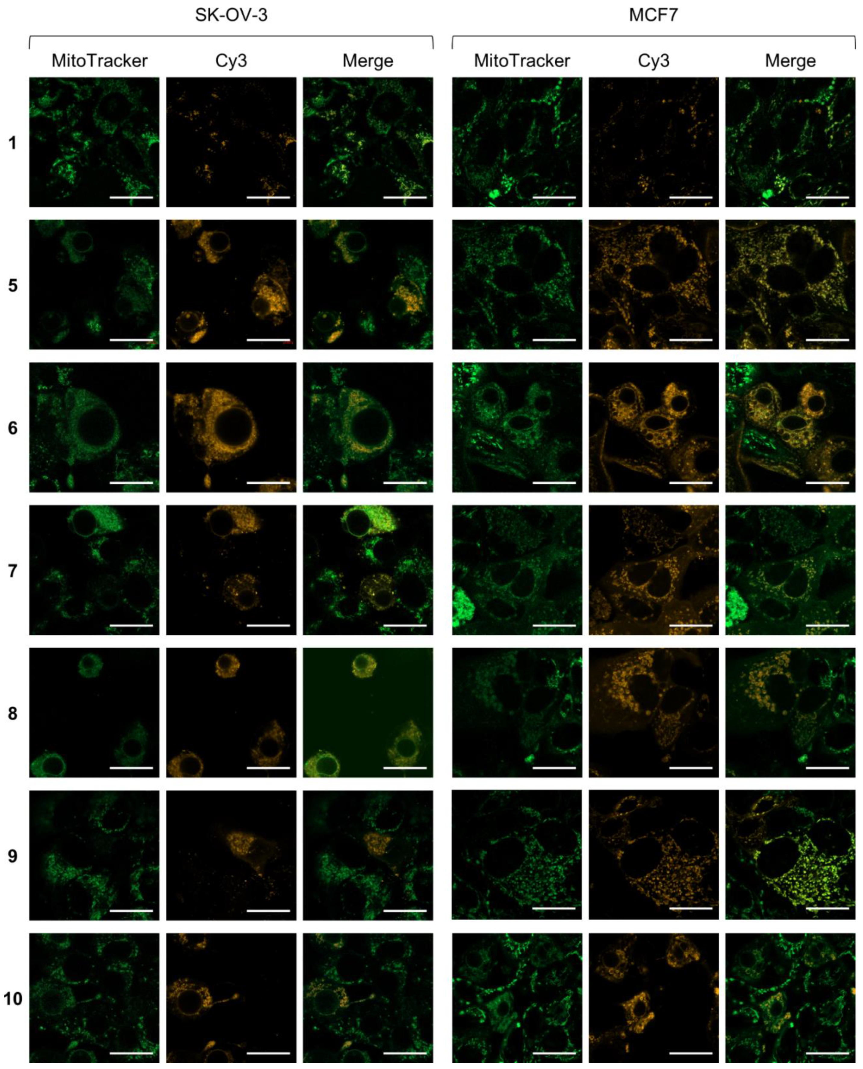 Biomolecules 12 00725 g003
