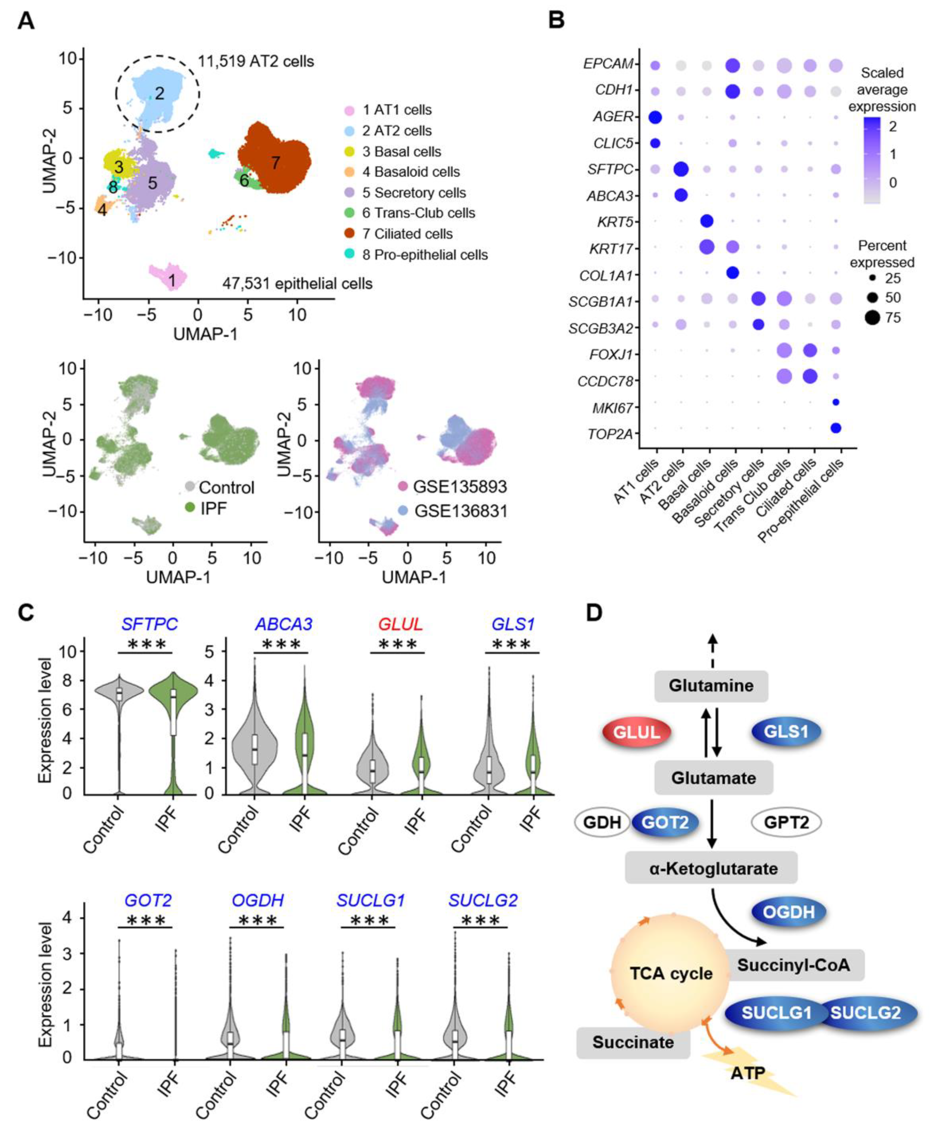 Biomolecules 12 00728 g001