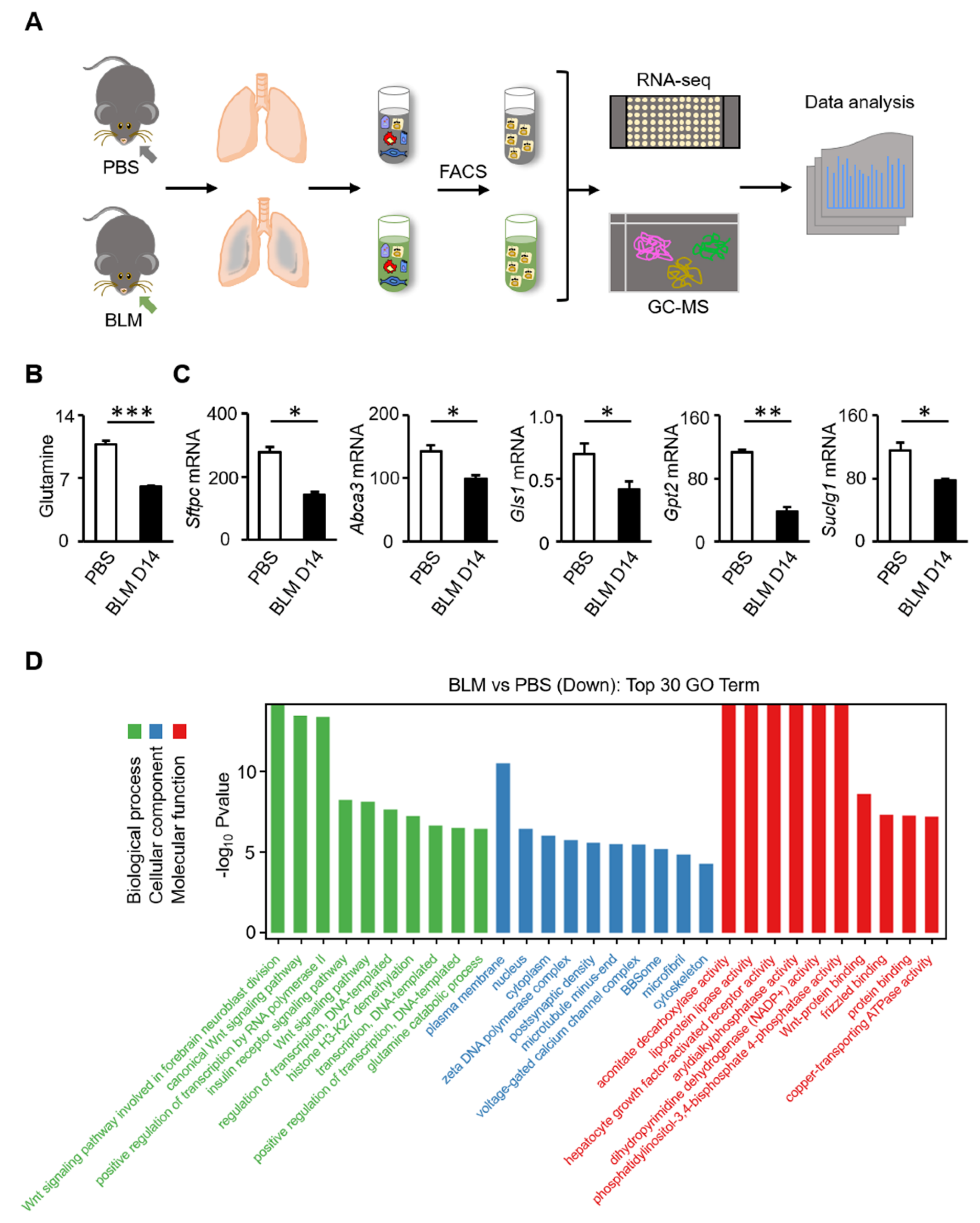 Biomolecules 12 00728 g002
