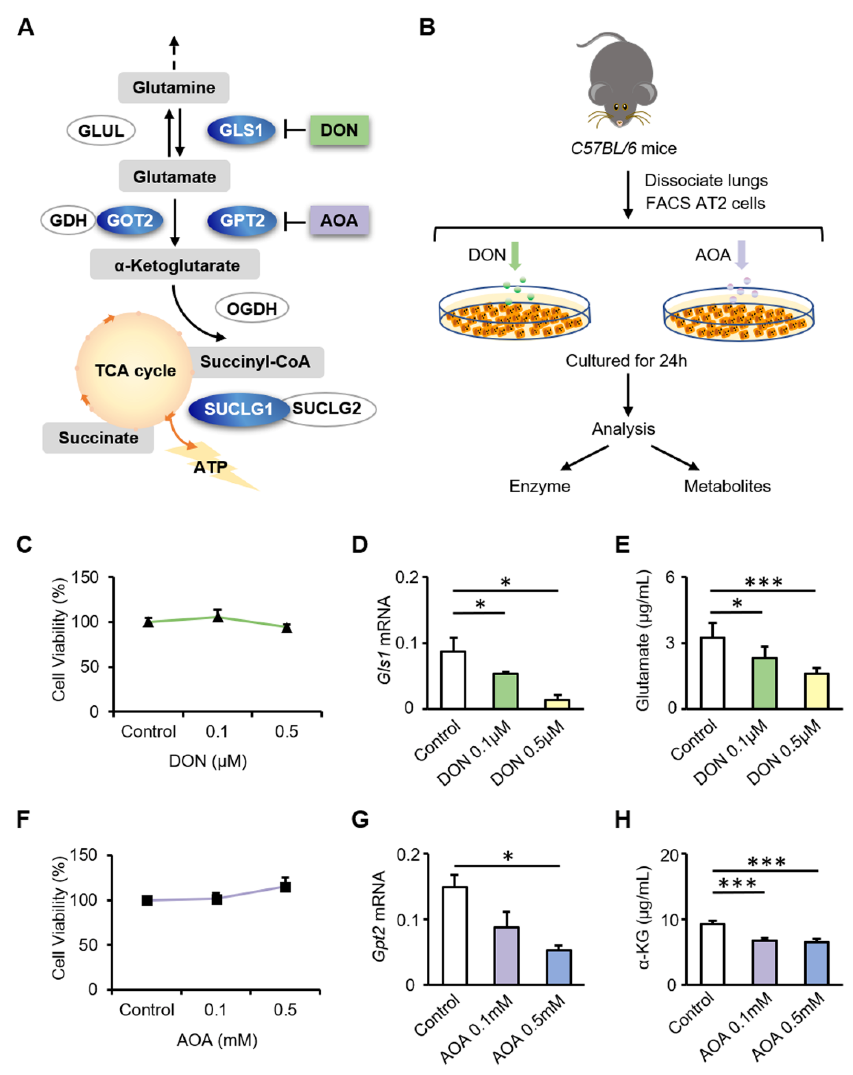 Biomolecules 12 00728 g003