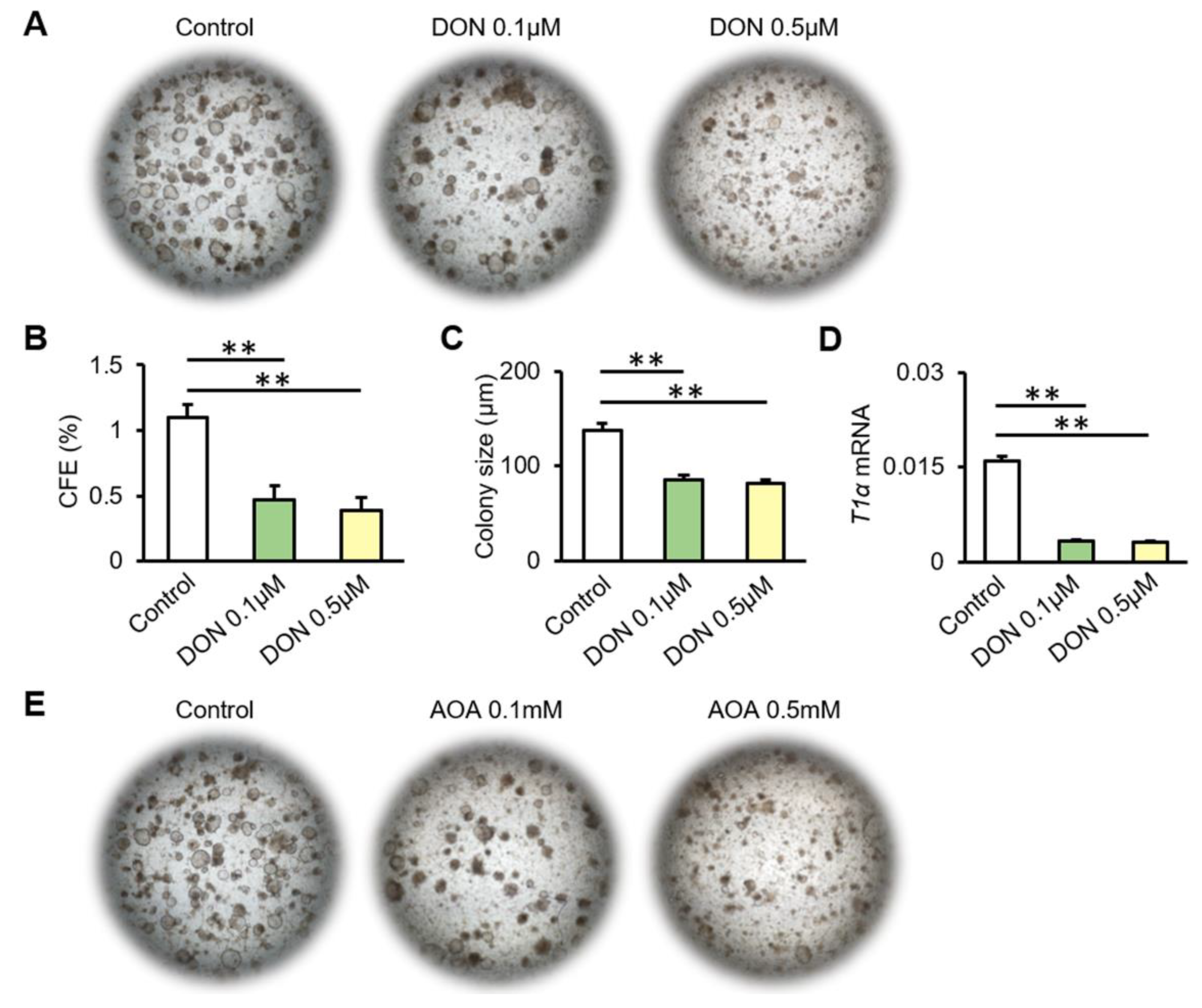 Biomolecules 12 00728 g004a