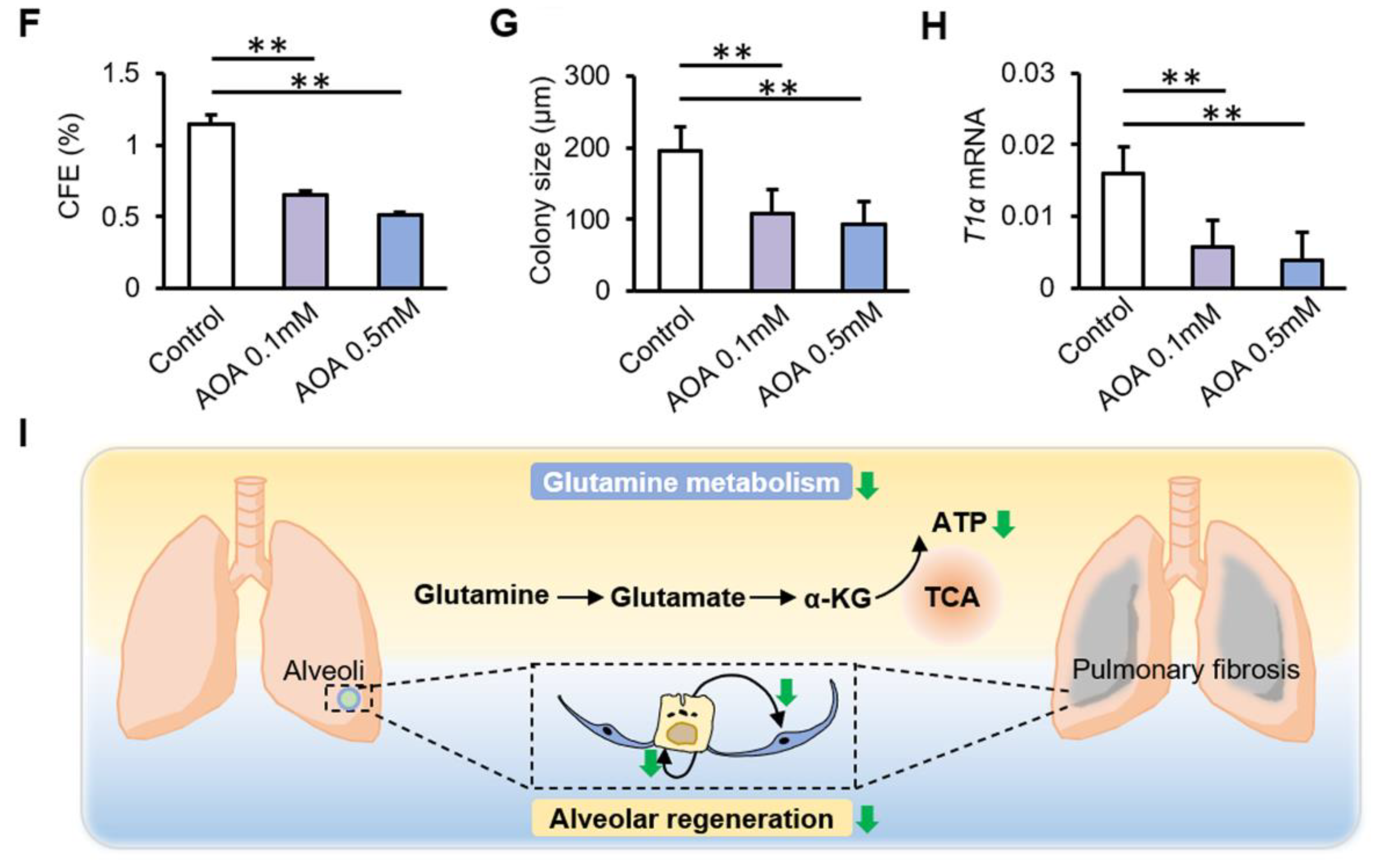 Biomolecules 12 00728 g004b