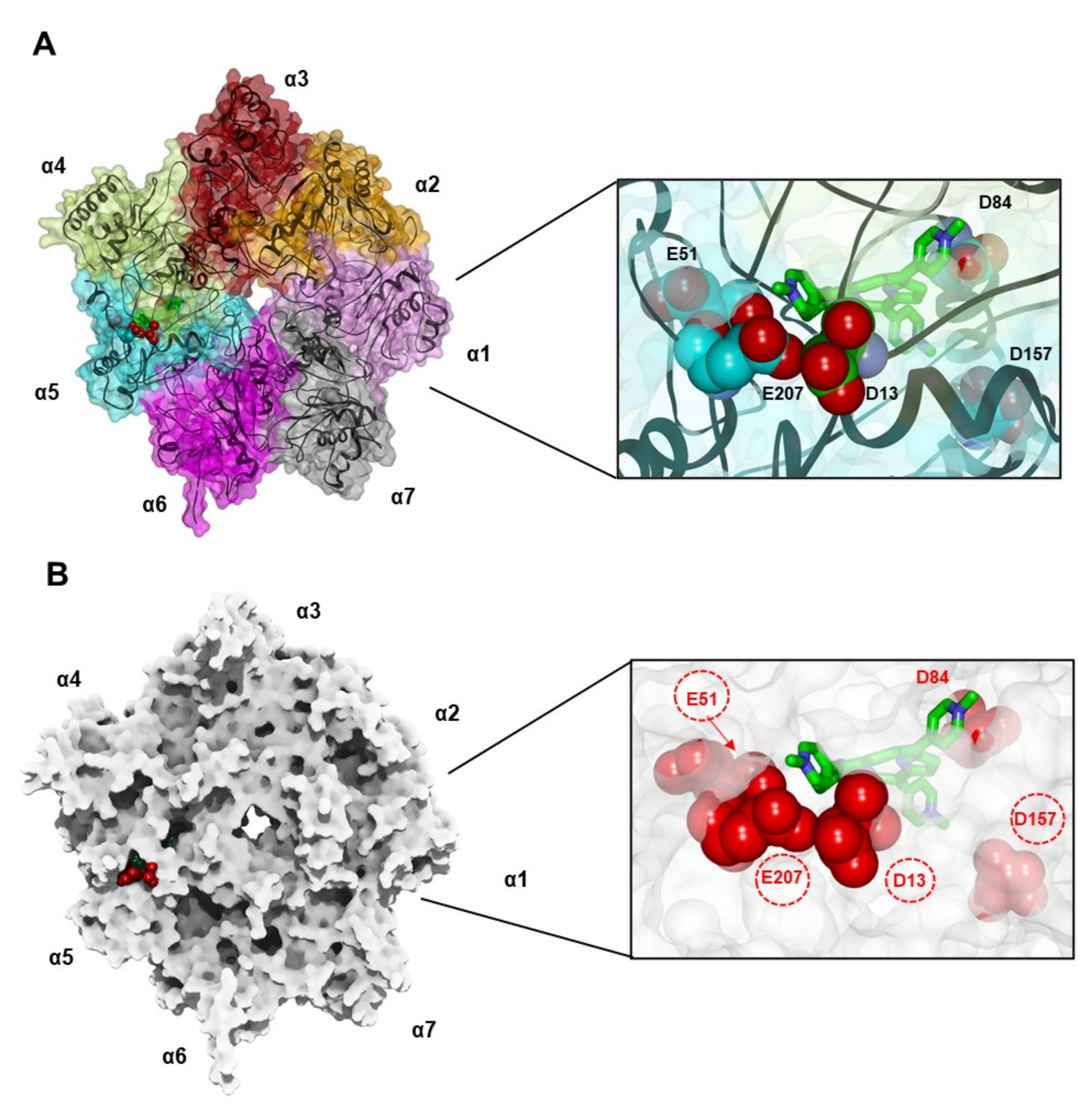 Biomolecules 12 00741 g008 Biomolecules 12 00741 g008