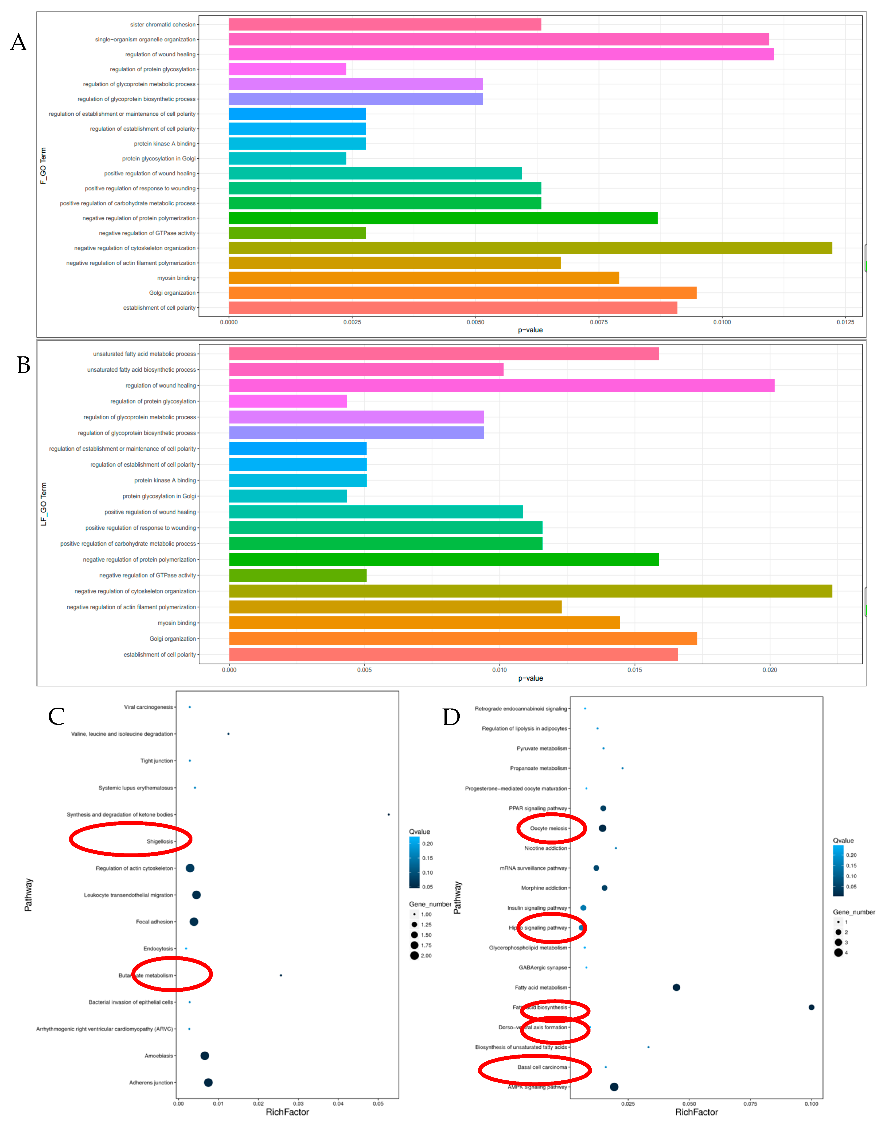 Biomolecules 12 00753 g003