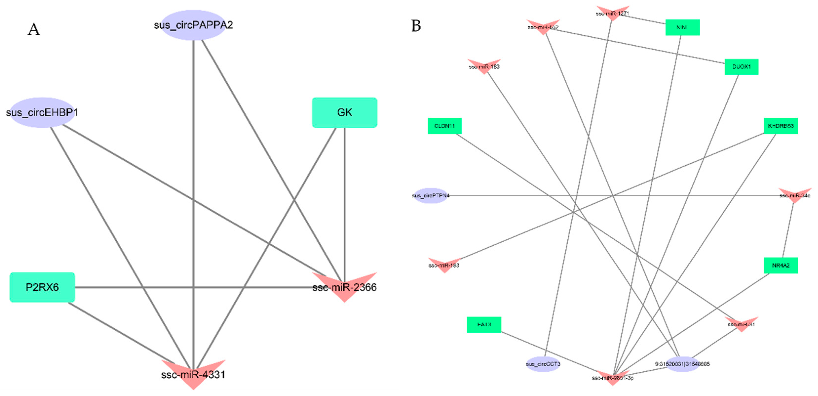 Biomolecules 12 00753 g005