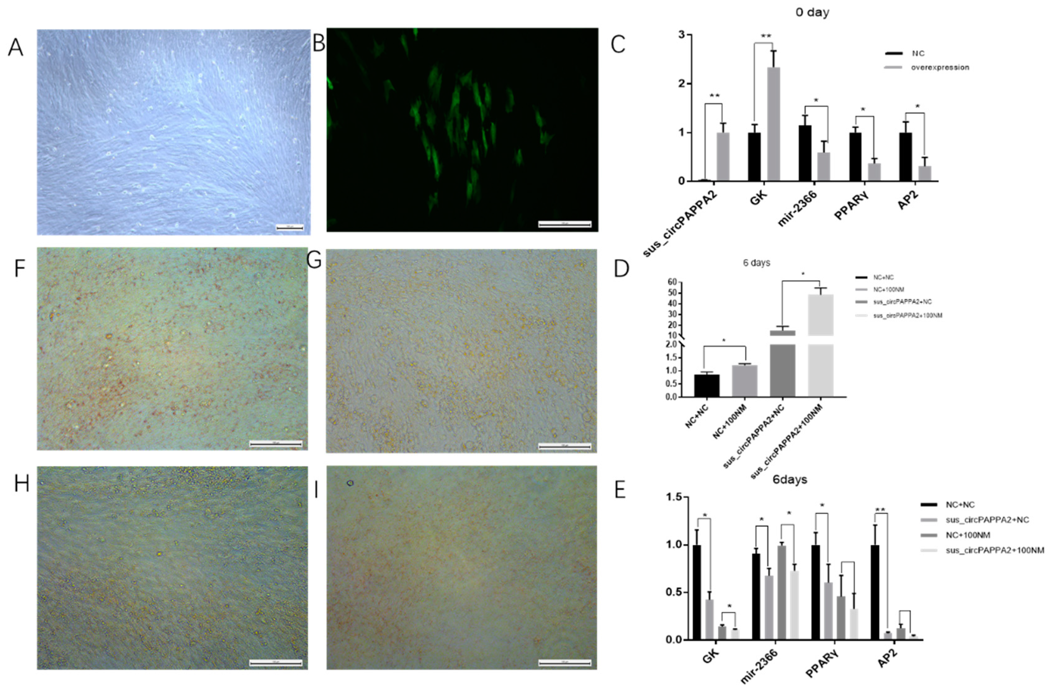Biomolecules 12 00753 g007