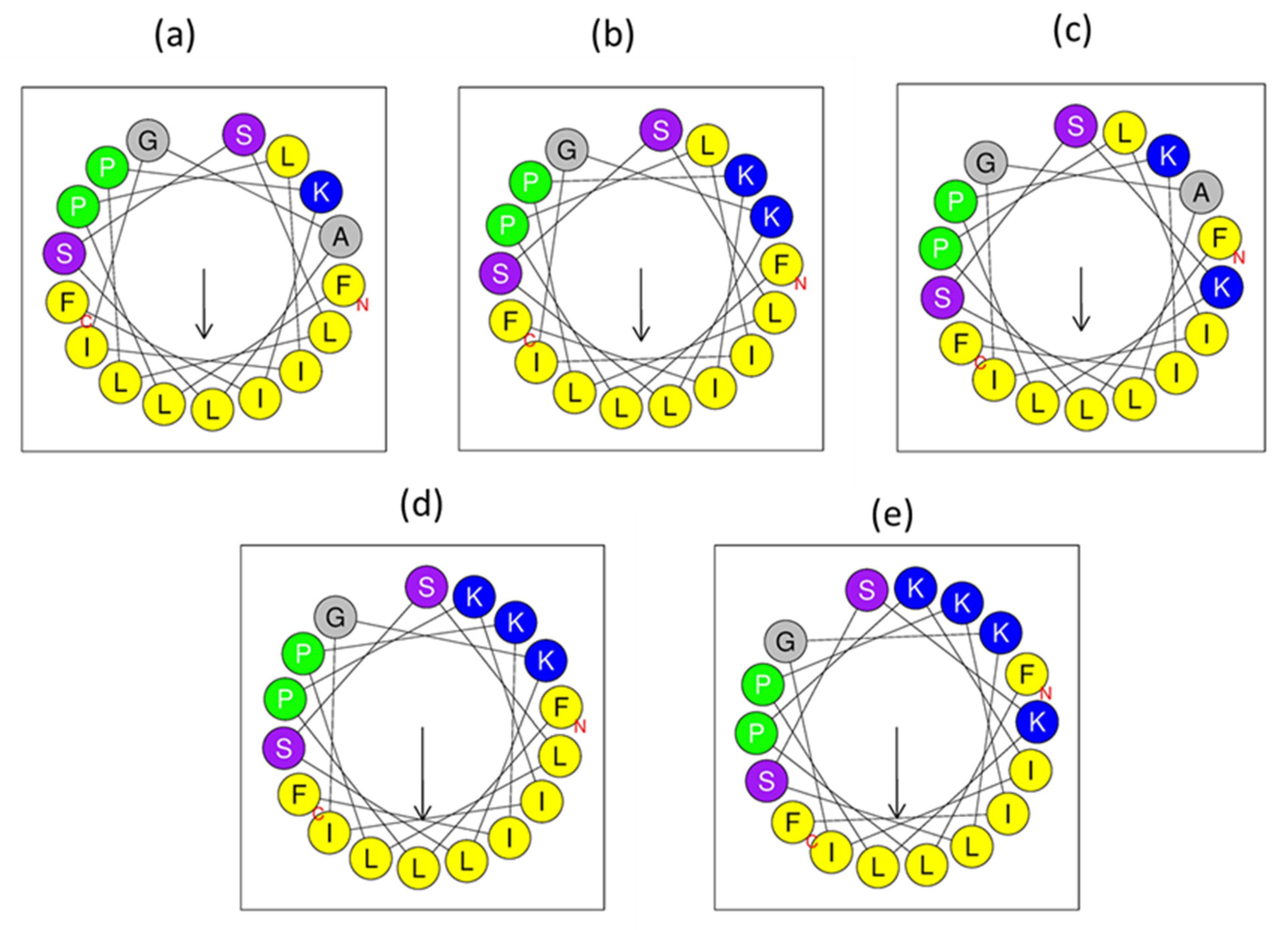 Biomolecules 12 00759 g004