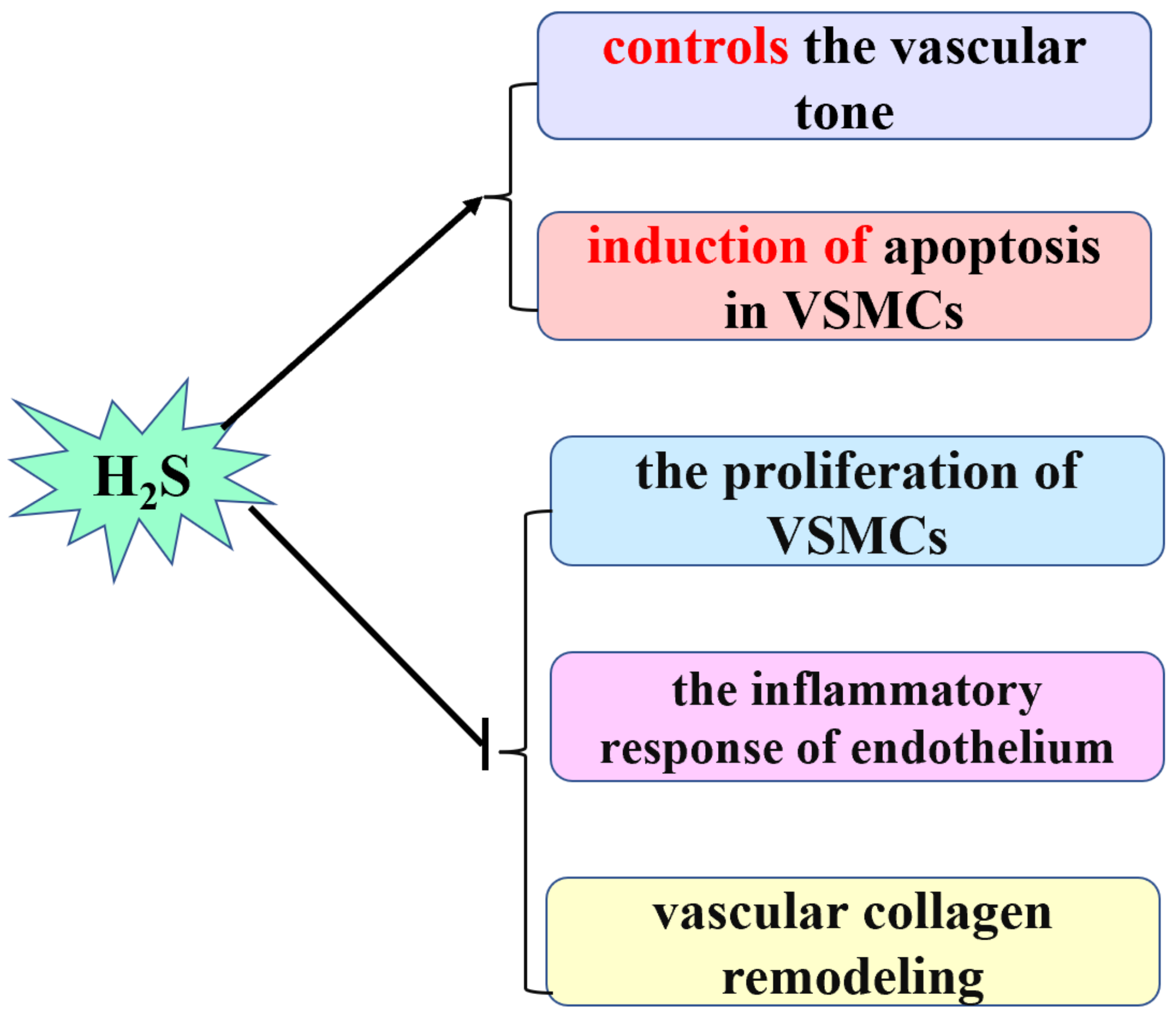 Biomolecules 12 00772 g001