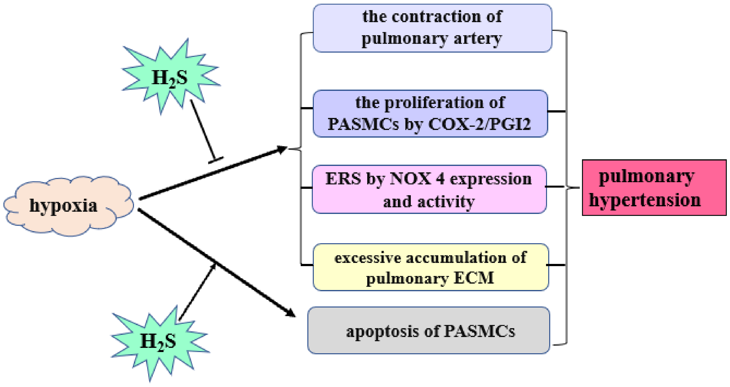Biomolecules 12 00772 g002