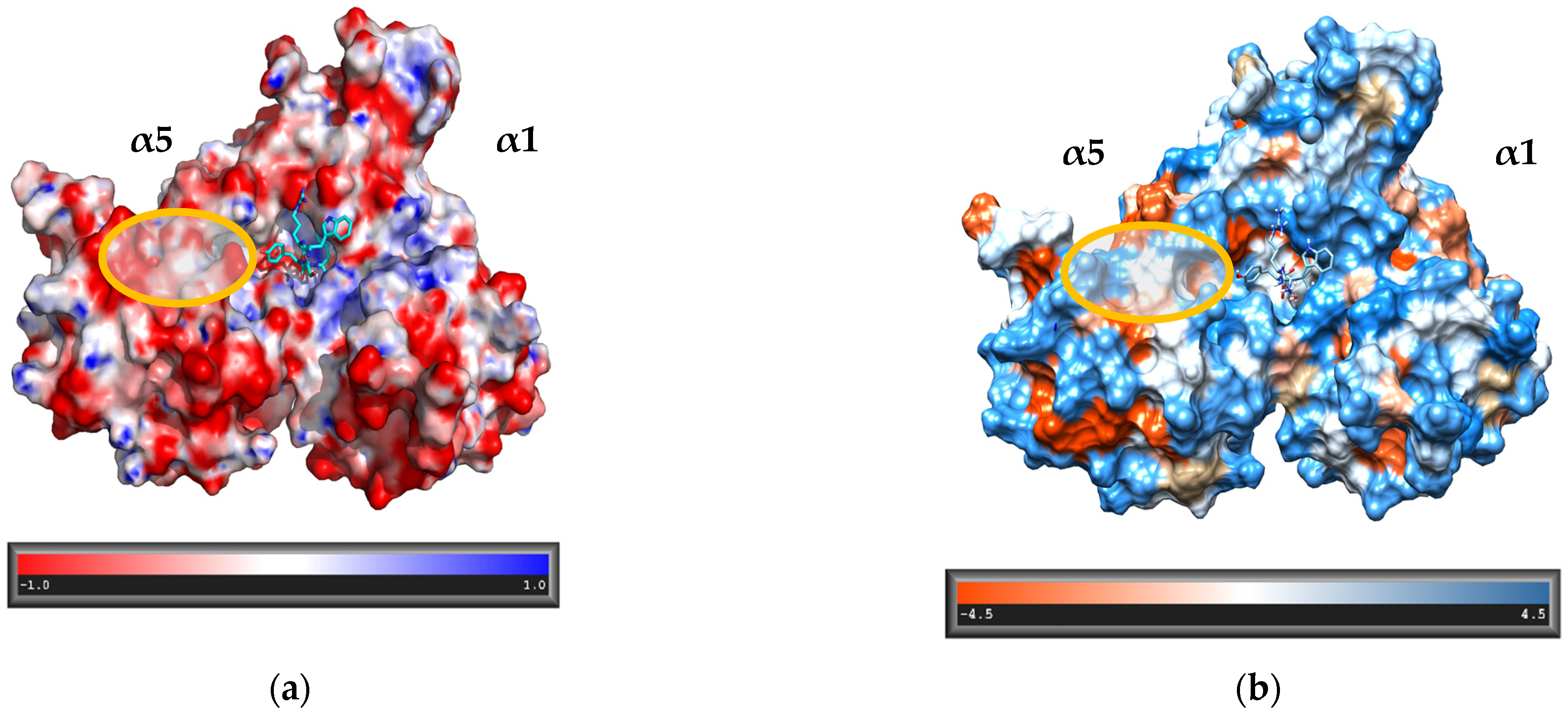 Biomolecules 12 00777 g001