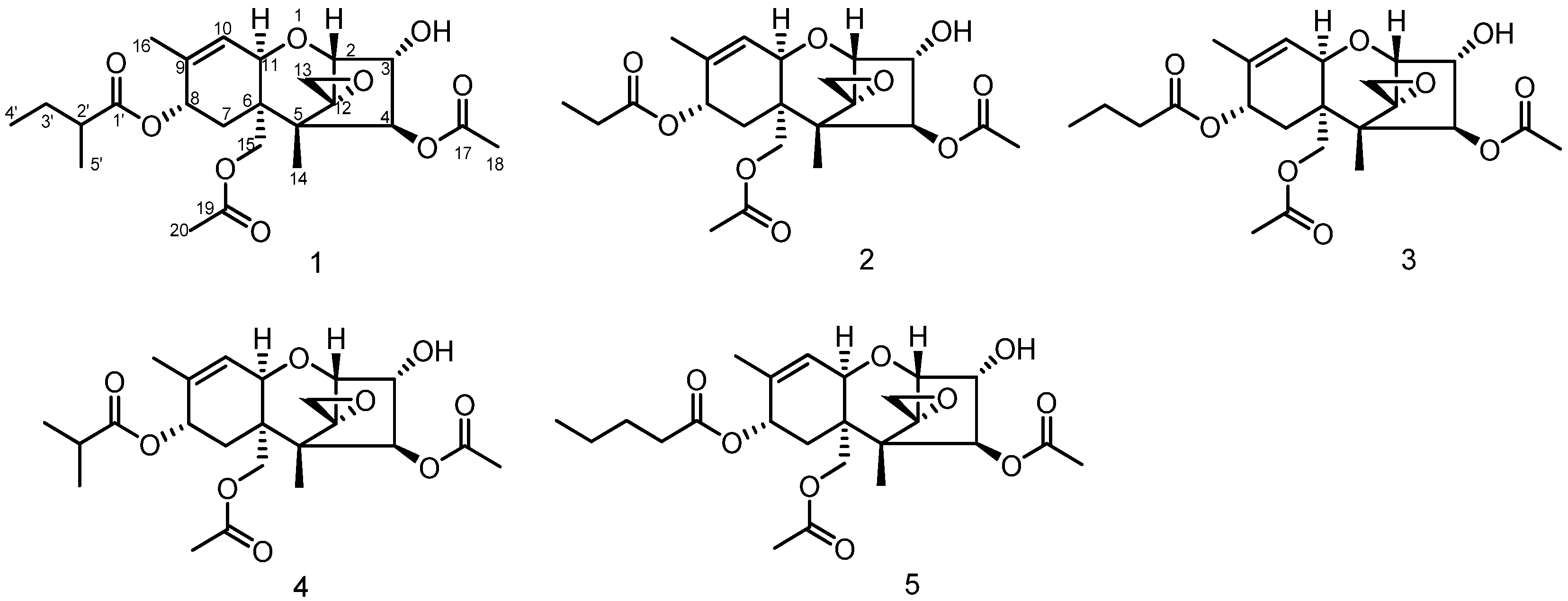 Biomolecules 12 00778 g001