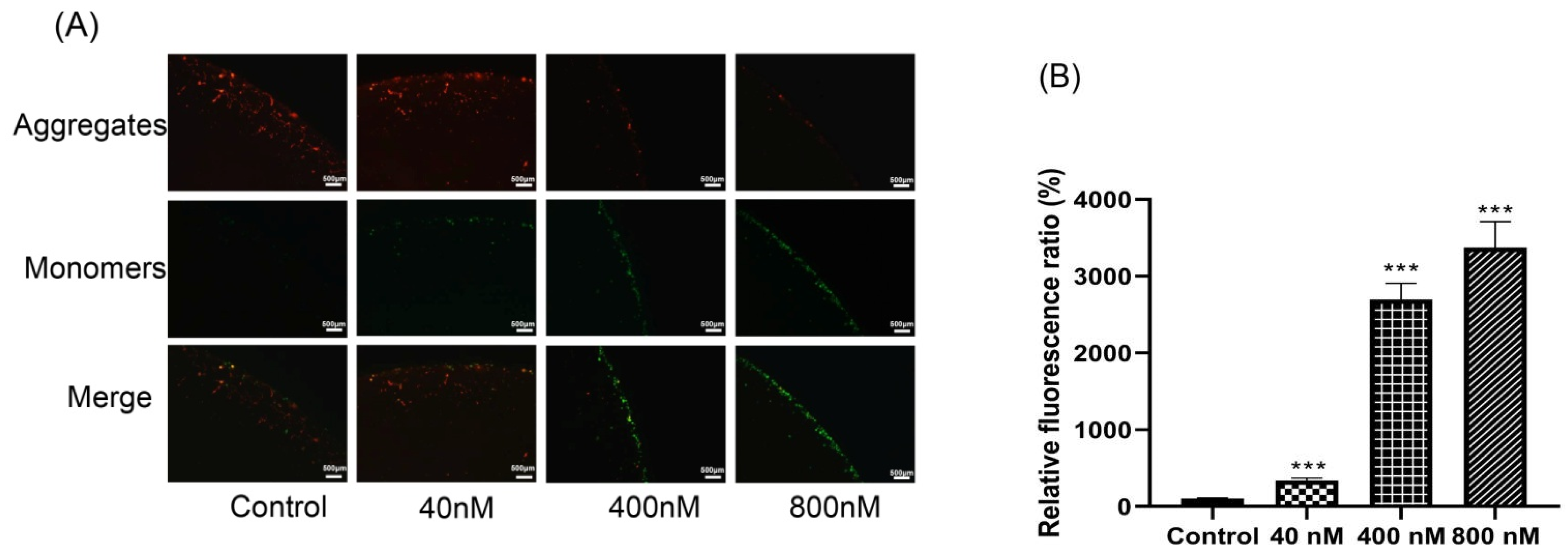 Biomolecules 12 00778 g006