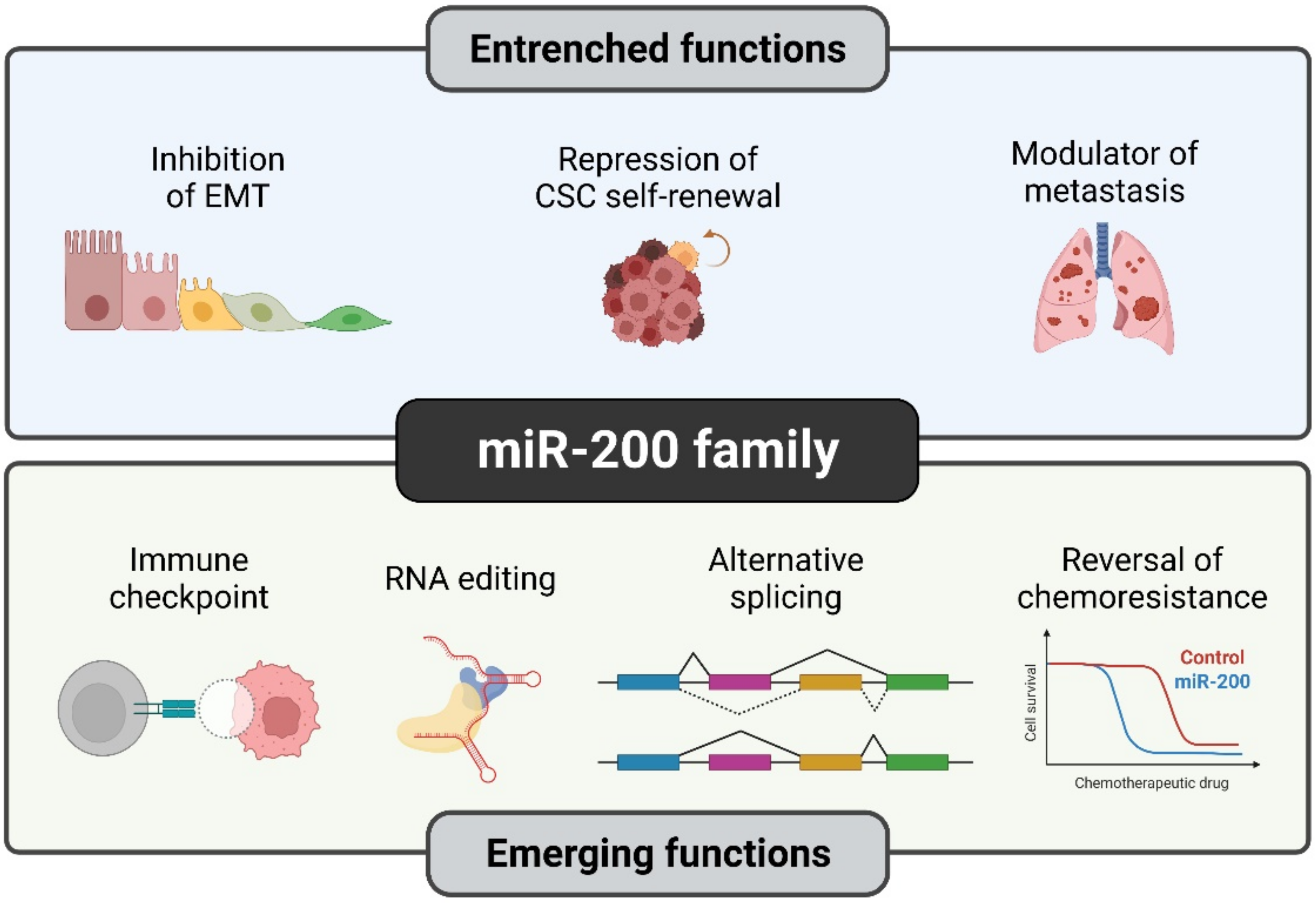 Biomolecules 12 00781 g003 Biomolecules 12 00781 g003