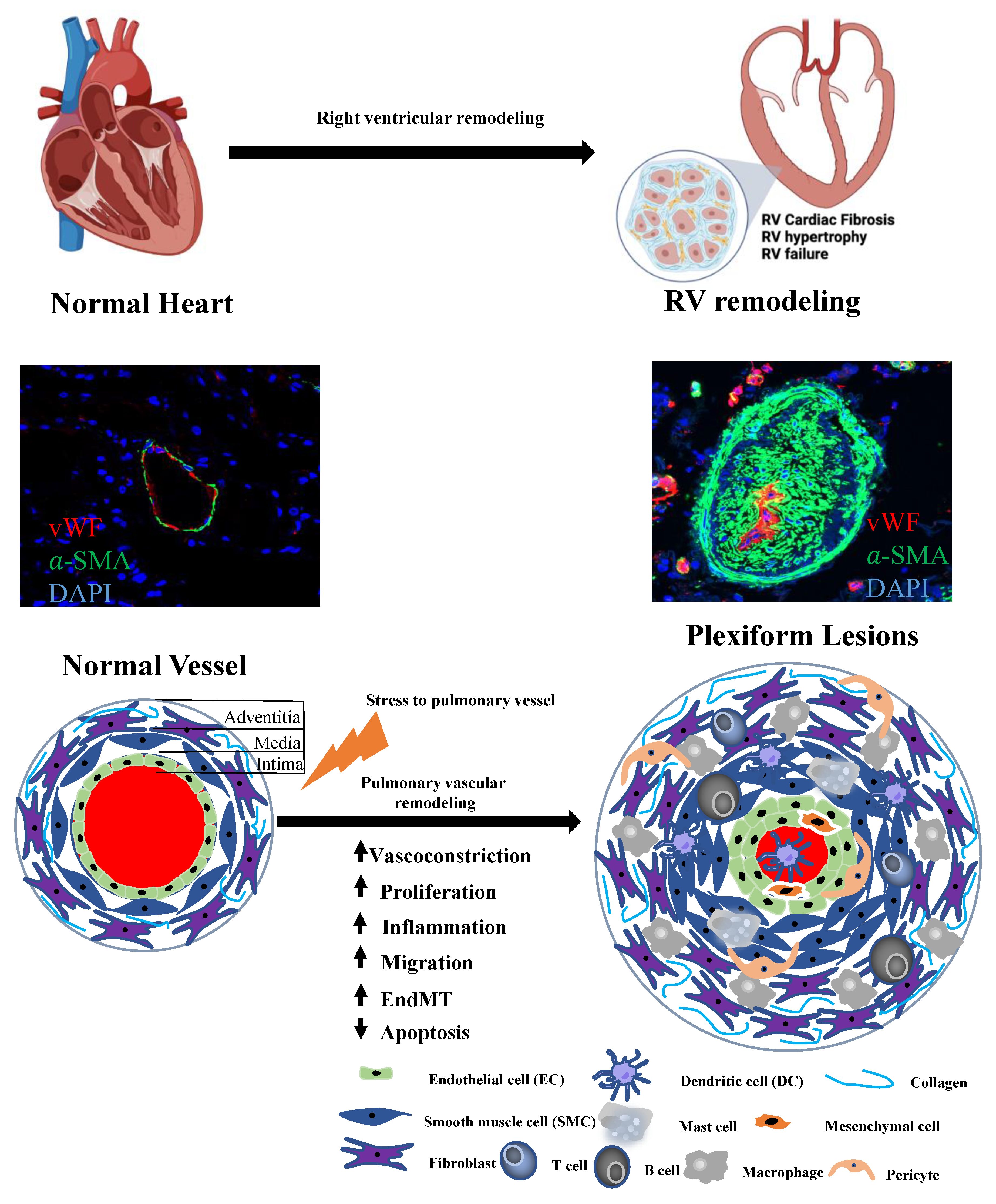 Biomolecules 12 00796 g001