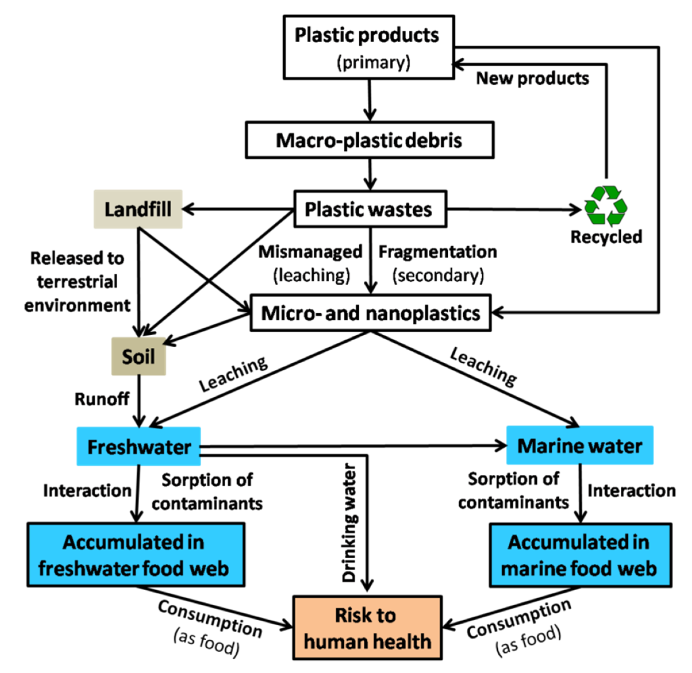 Biomolecules | Free Full-Text | Plastic Interactions with Pollutants and  Consequences to Aquatic Ecosystems: What We Know and What We Do Not Know