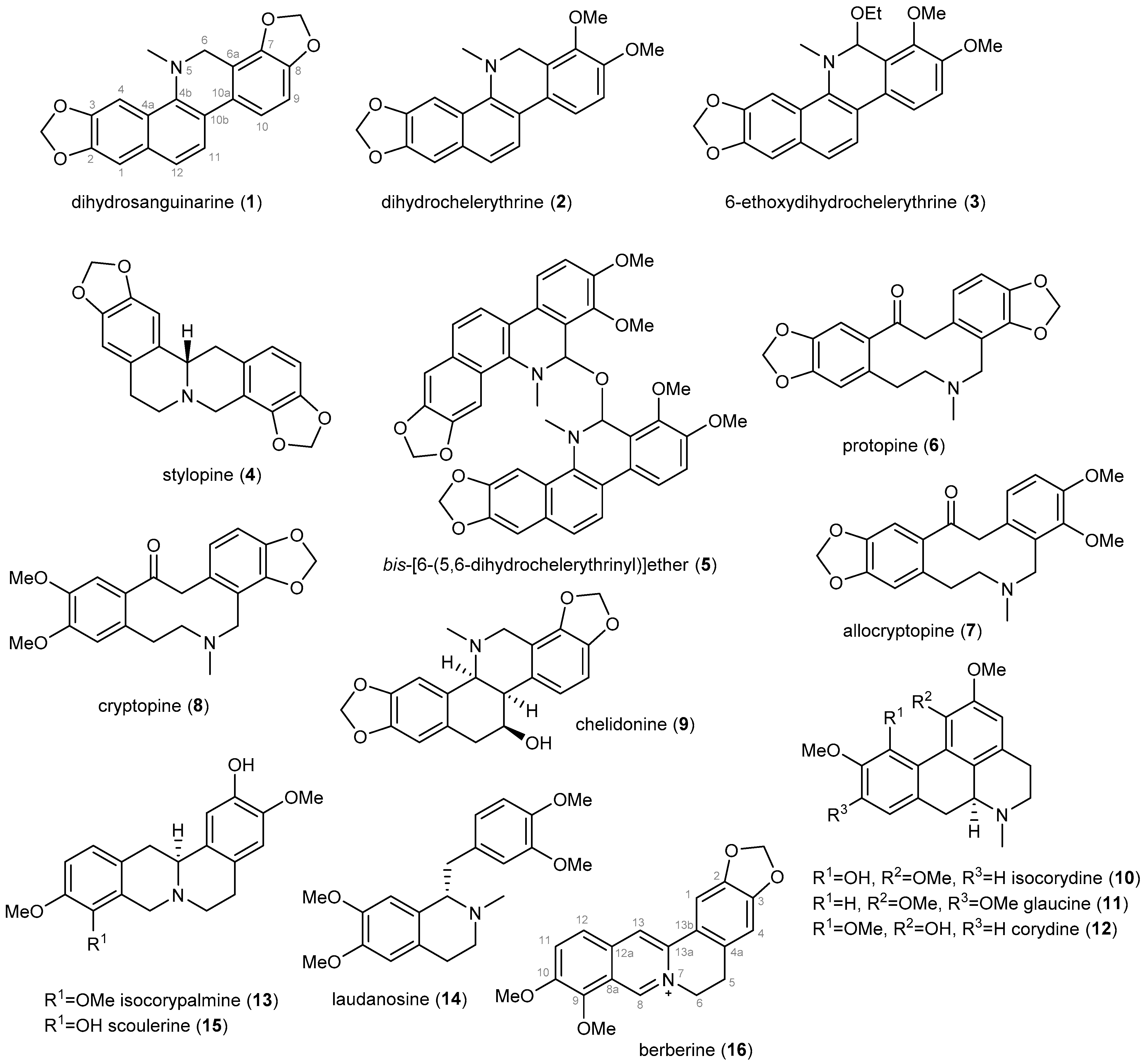 Biomolecules 12 00844 g001 Biomolecules 12 00844 g001