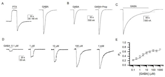 Biomolecules | Free Full-Text | Activation of the Rat &alpha