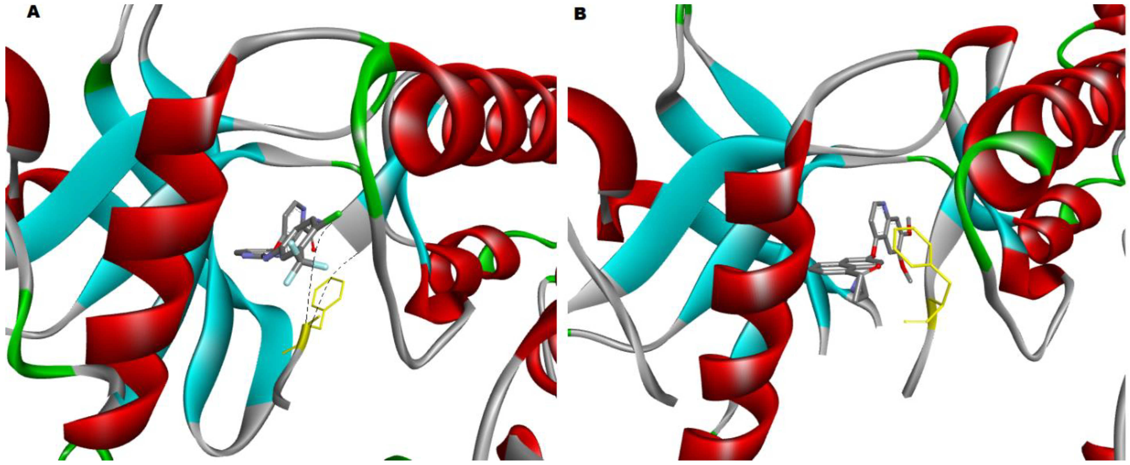 Biomolecules 12 00878 g005 Biomolecules 12 00878 g005