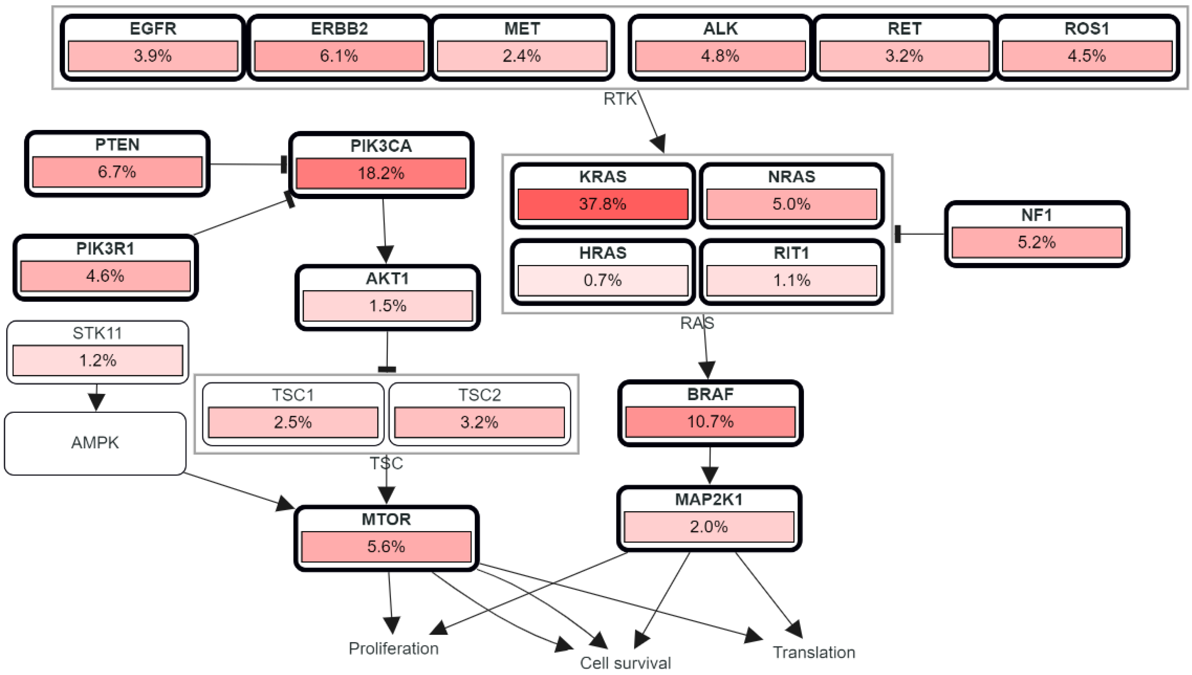 Biomolecules 12 00878 g006 Biomolecules 12 00878 g006